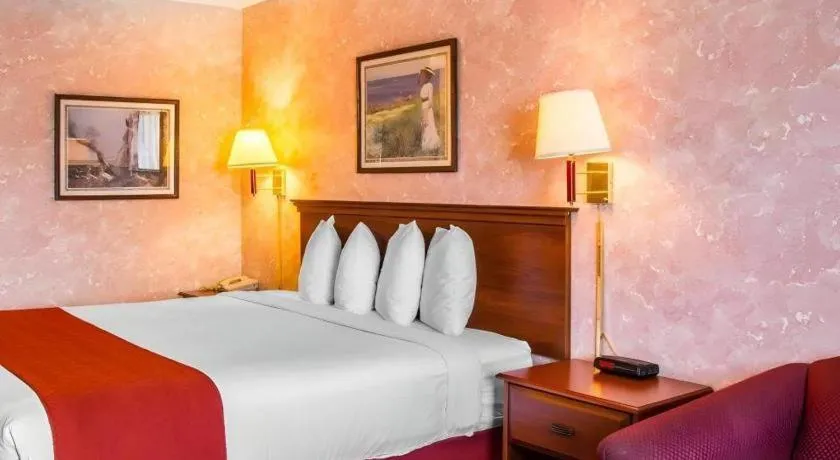 Bed in Econo Lodge Longmont East