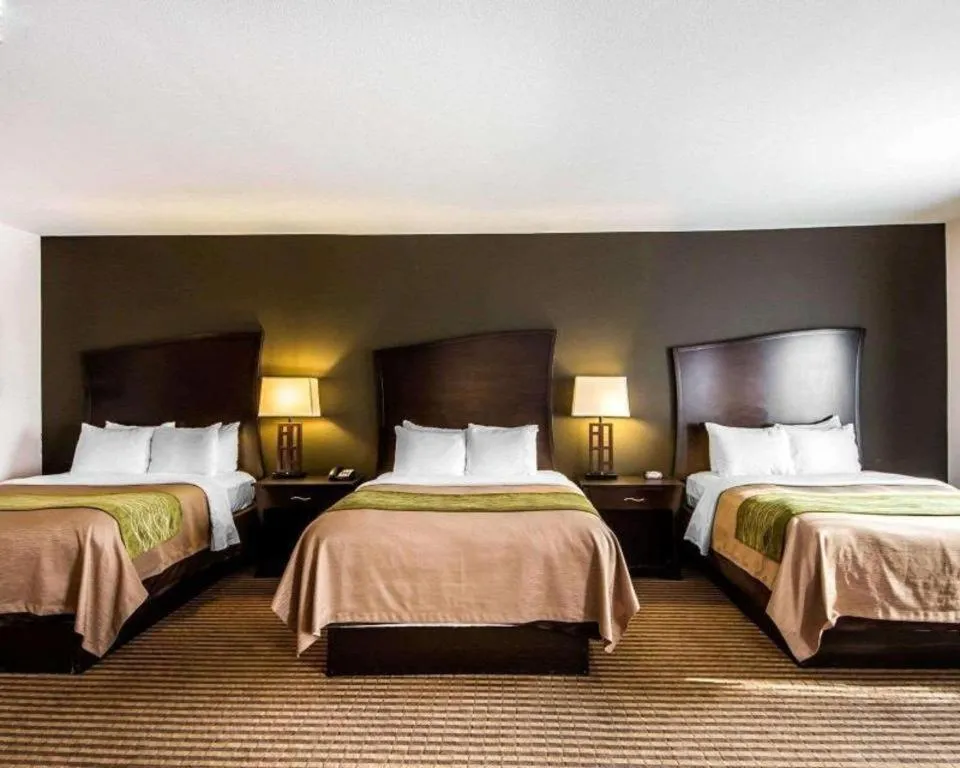 Bed in Comfort Inn & Suites Alva