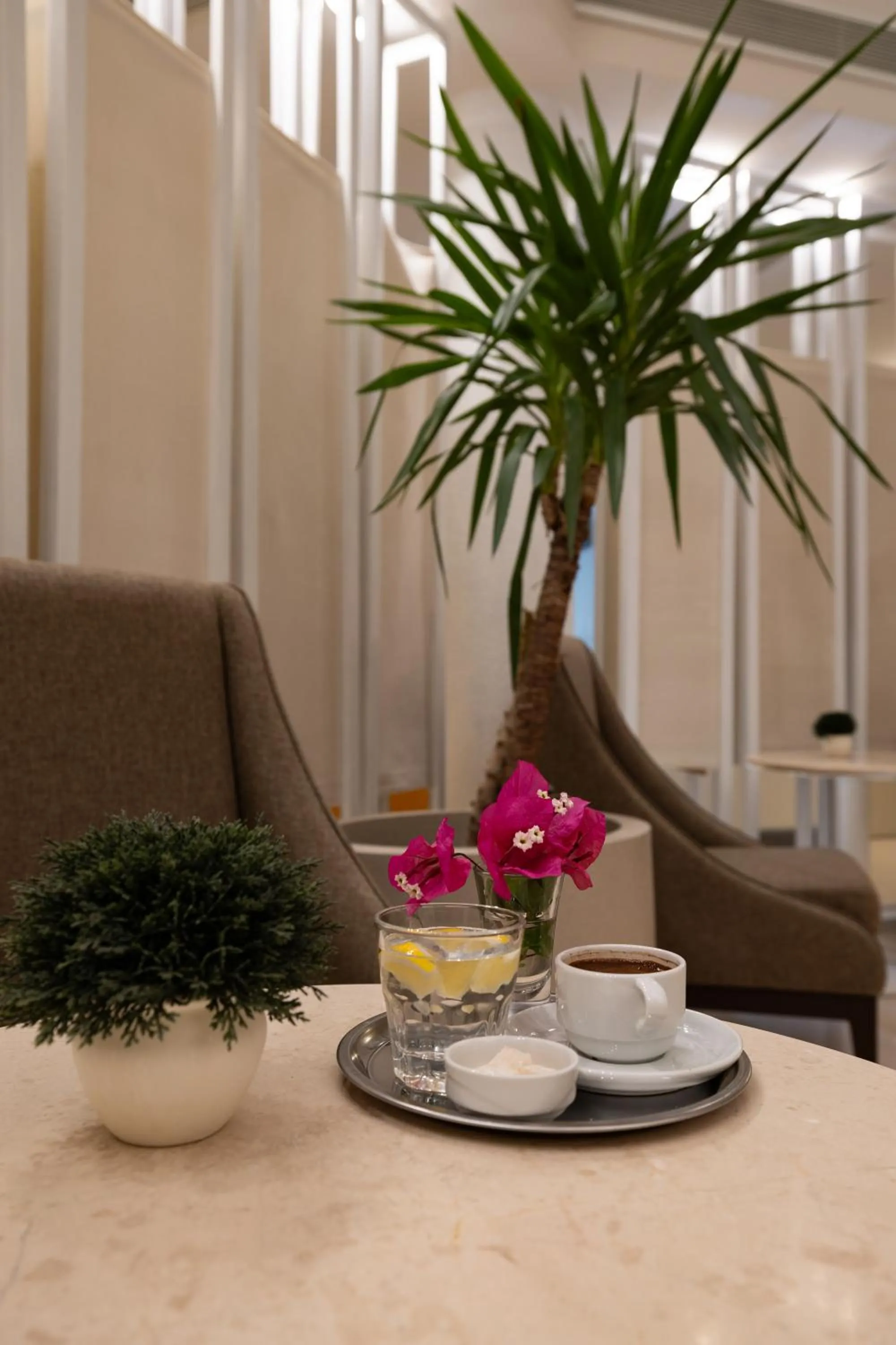 Seating area in Sisus Marina Hotel