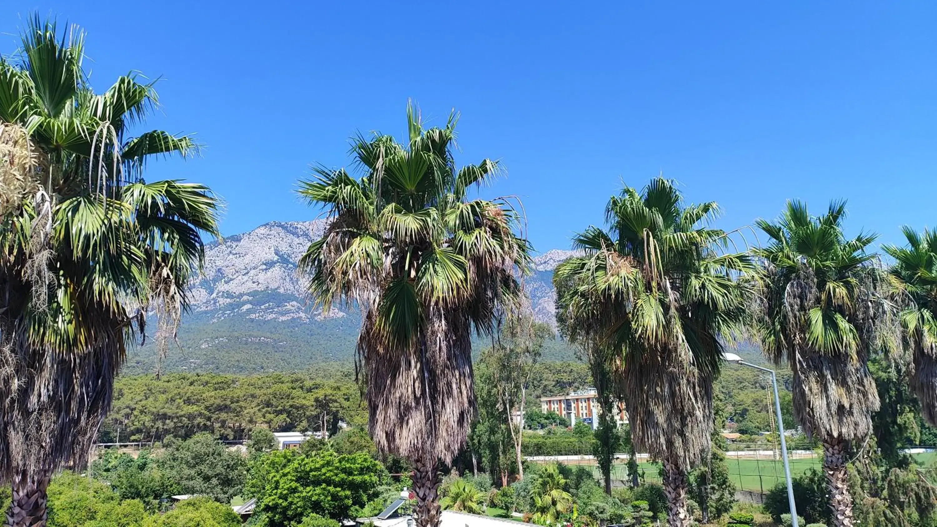 Superior King Room in Dedeman Kemer Resort - Ultra All Inclusive Superior King Room in Dedeman Kemer Resort - Ultra All Inclusive