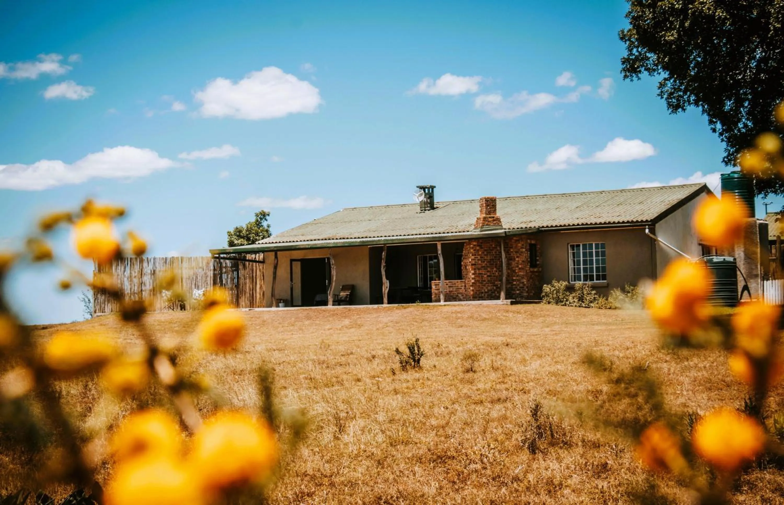 Property building in The Ranch House at African Safari Lodge