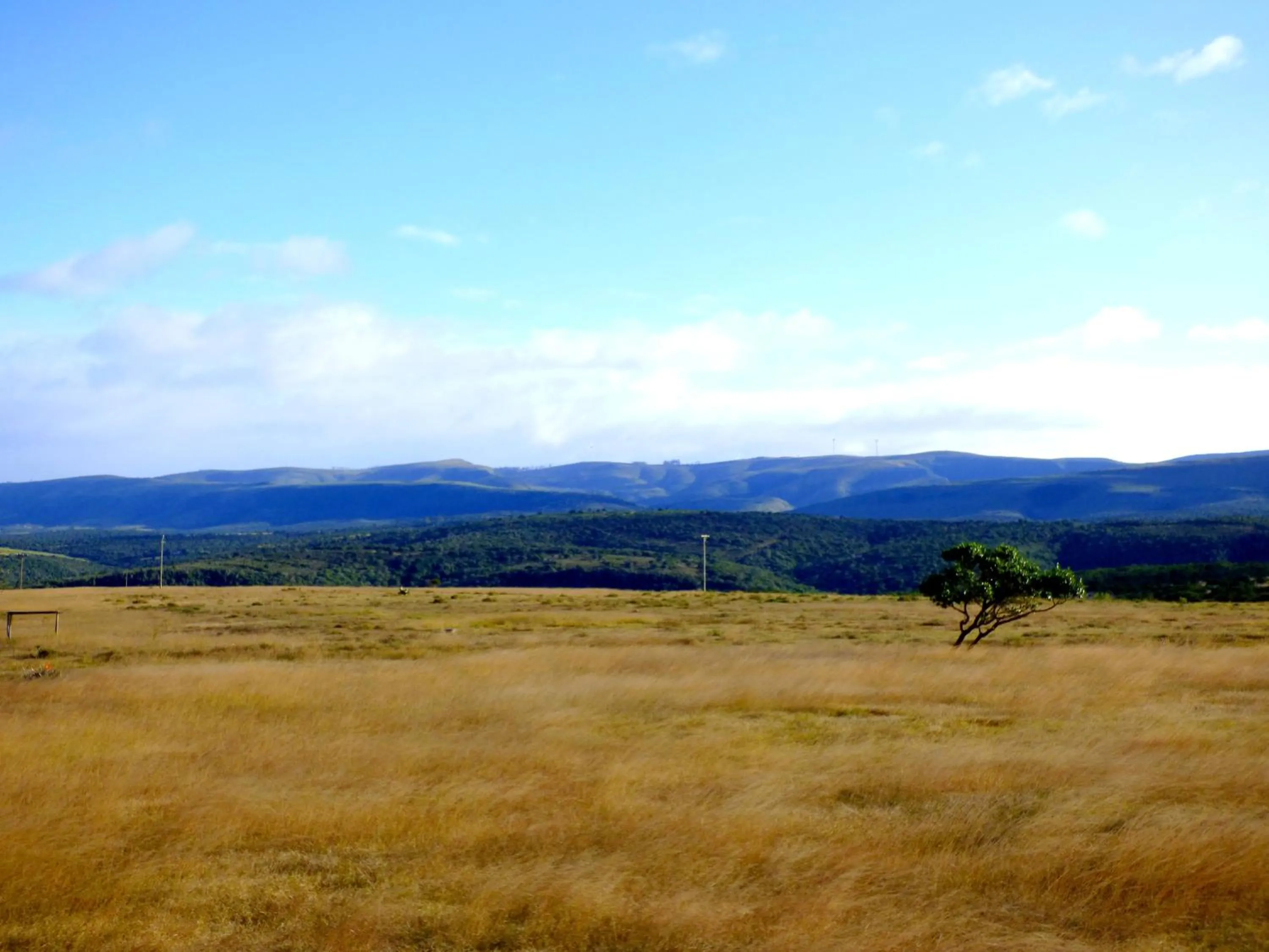 Natural landscape in The Ranch House at African Safari Lodge