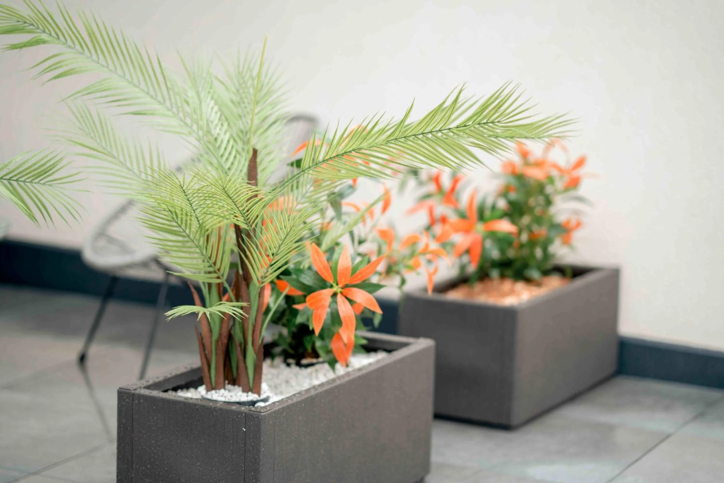 Balcony/Terrace in Central Hotel & Lounge Adult Only