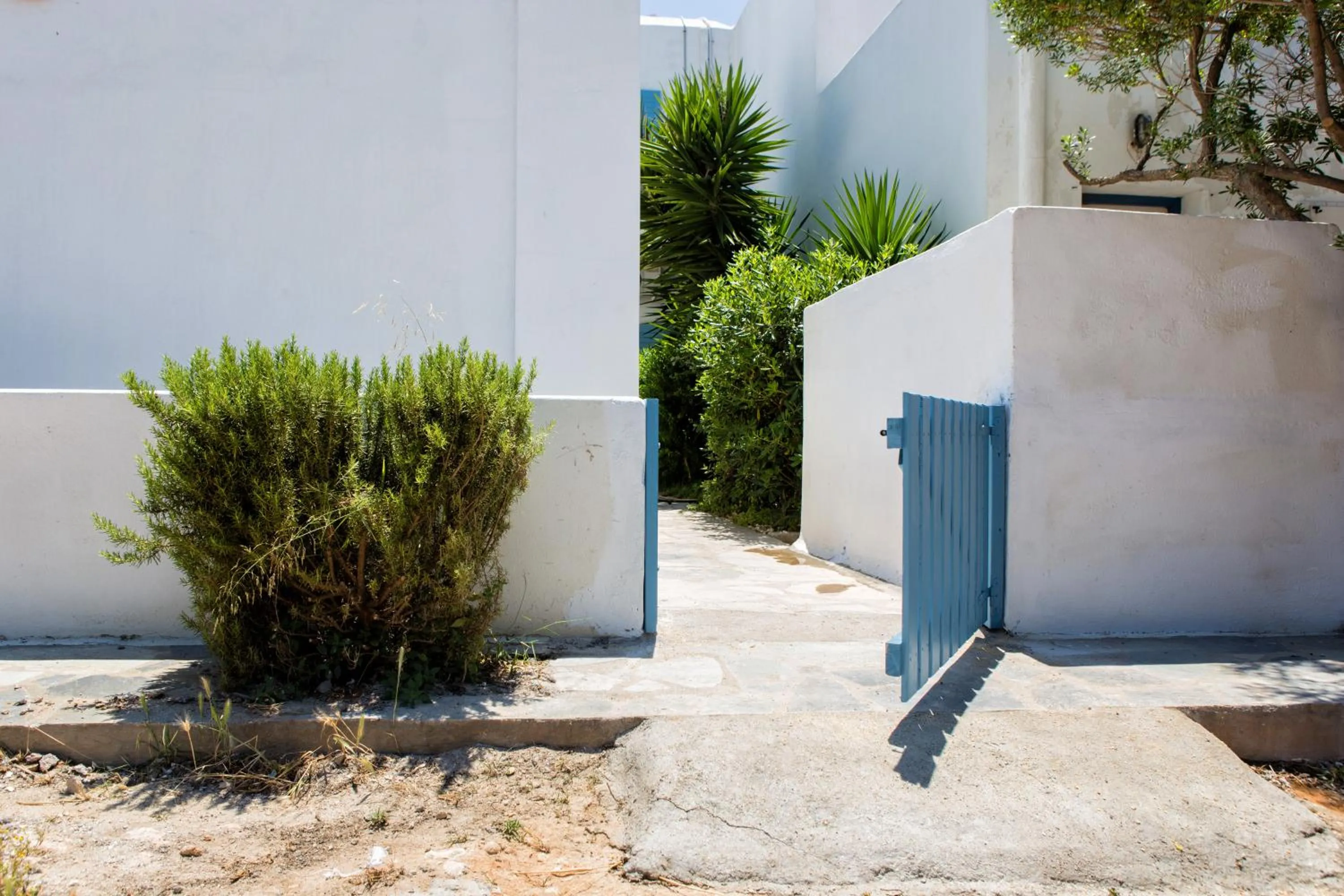 Property building in Fivos Apartments