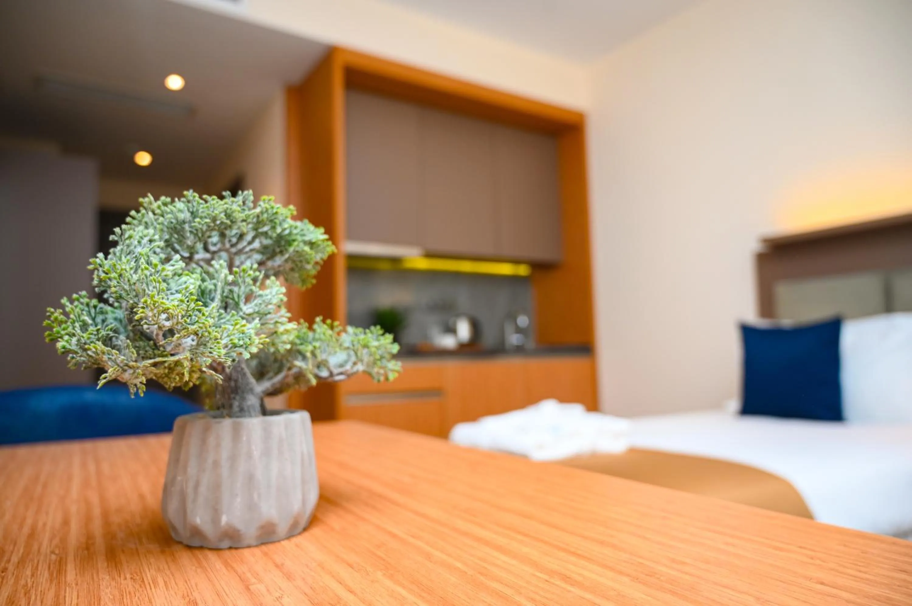 Photo of the whole room, Bed in New Wave Apart-Hotel