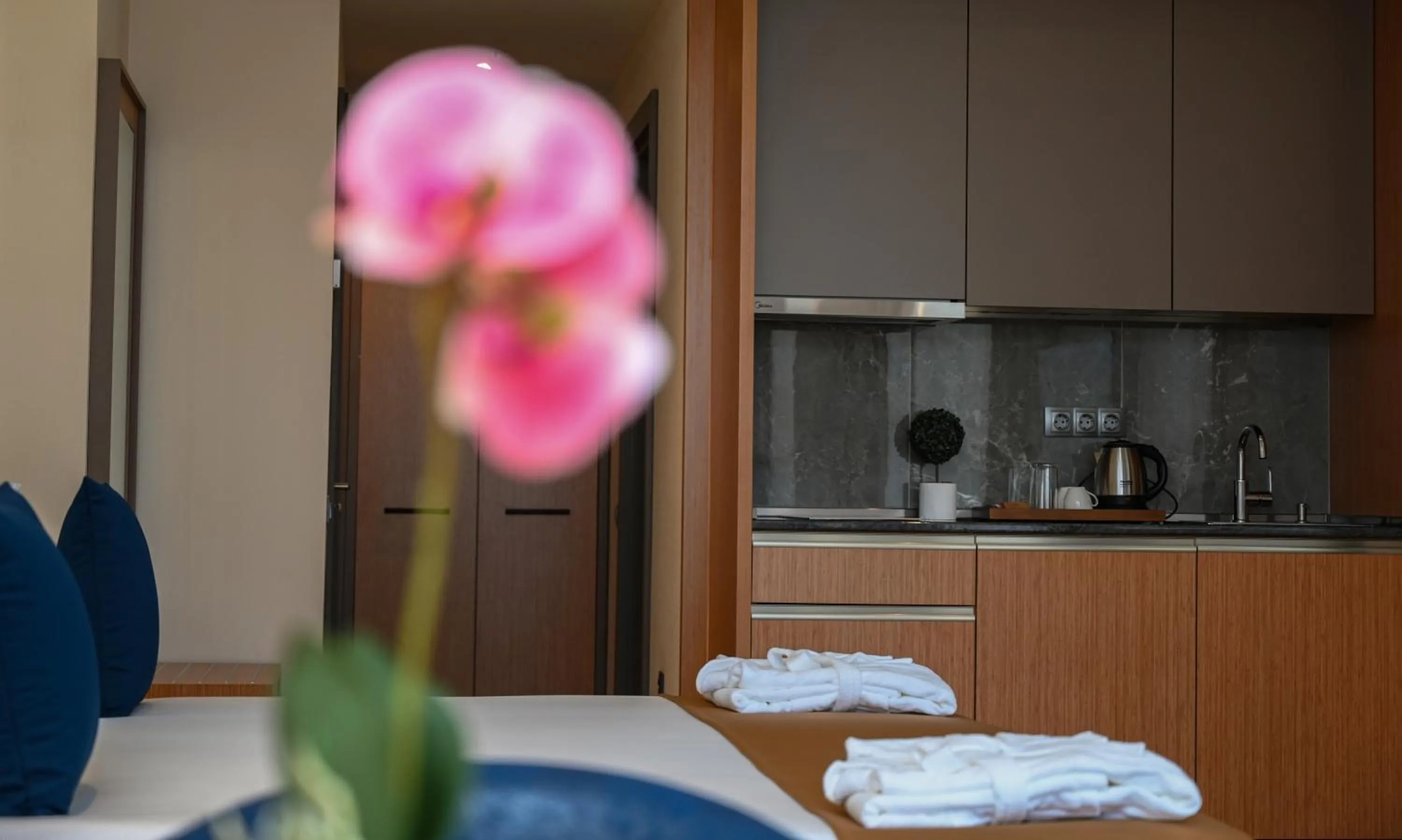 Kitchen or kitchenette in New Wave Apart-Hotel