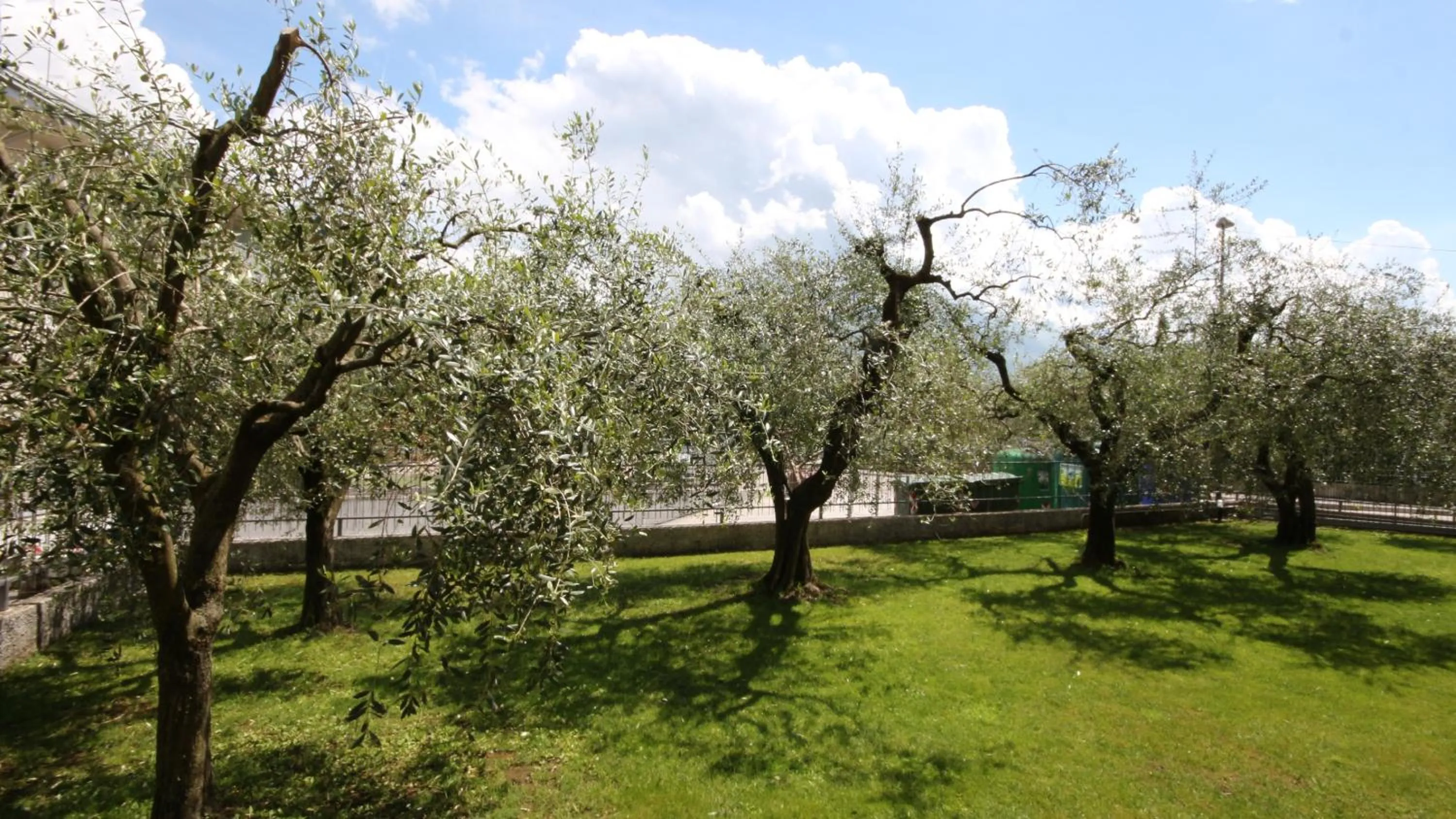 Garden view in R&B Casa Wanda since 1999