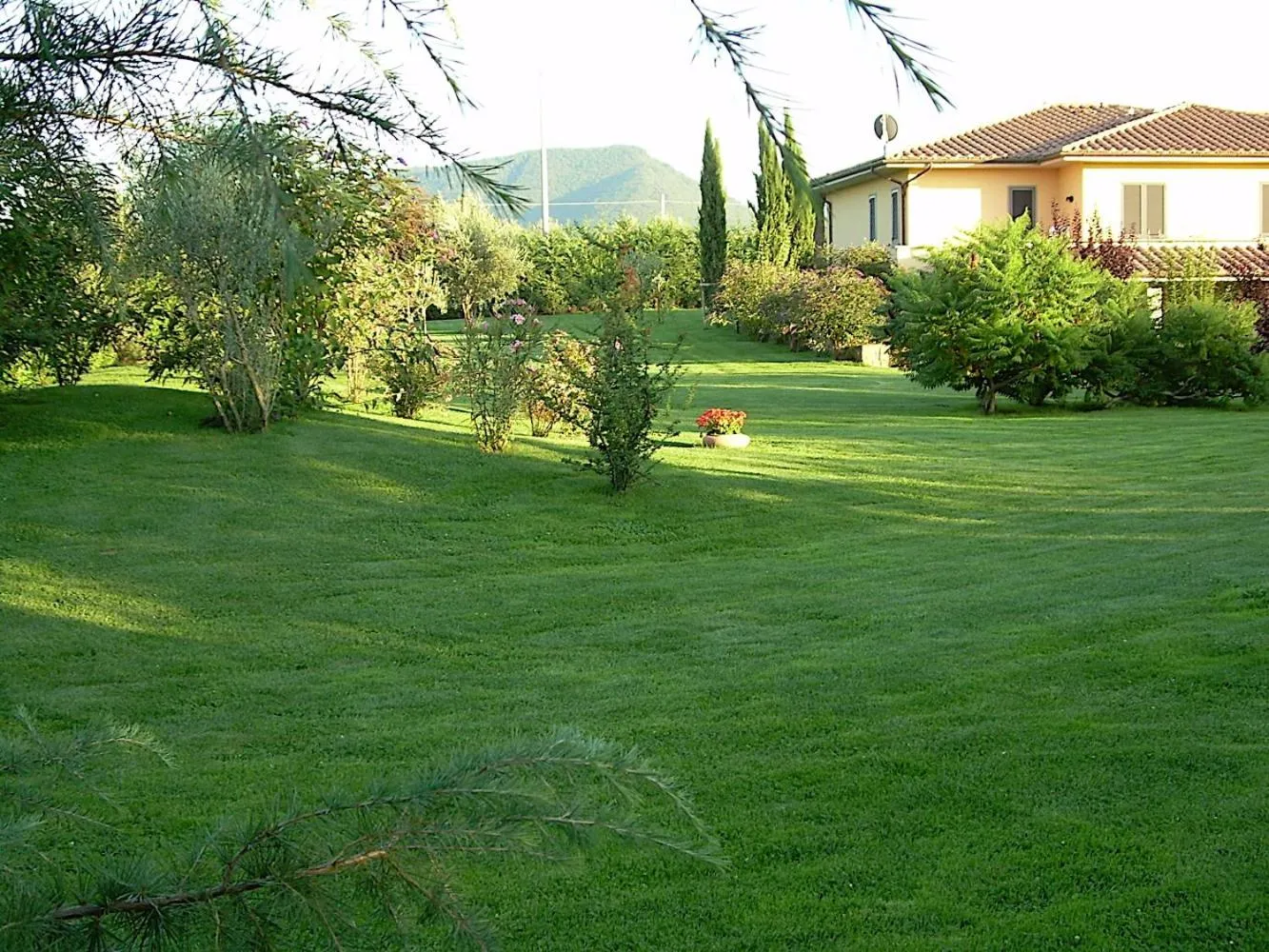 Bed and breakfast Ellera Viterbo