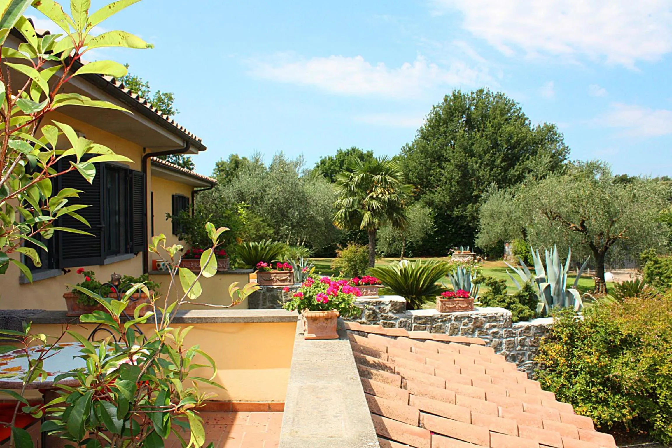 Garden in Bed and breakfast Ellera Viterbo