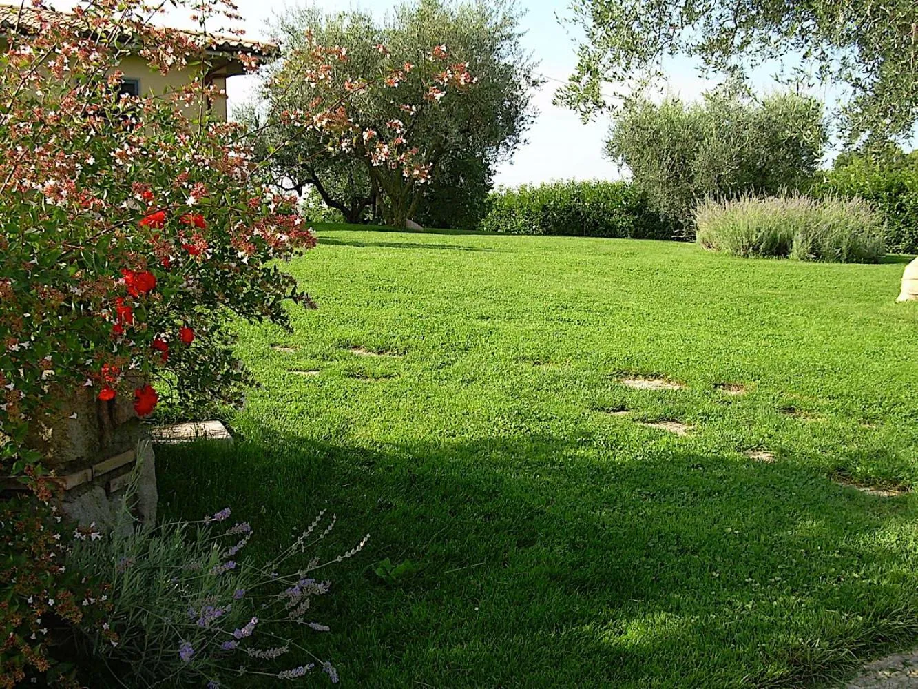 Bed and breakfast Ellera Viterbo