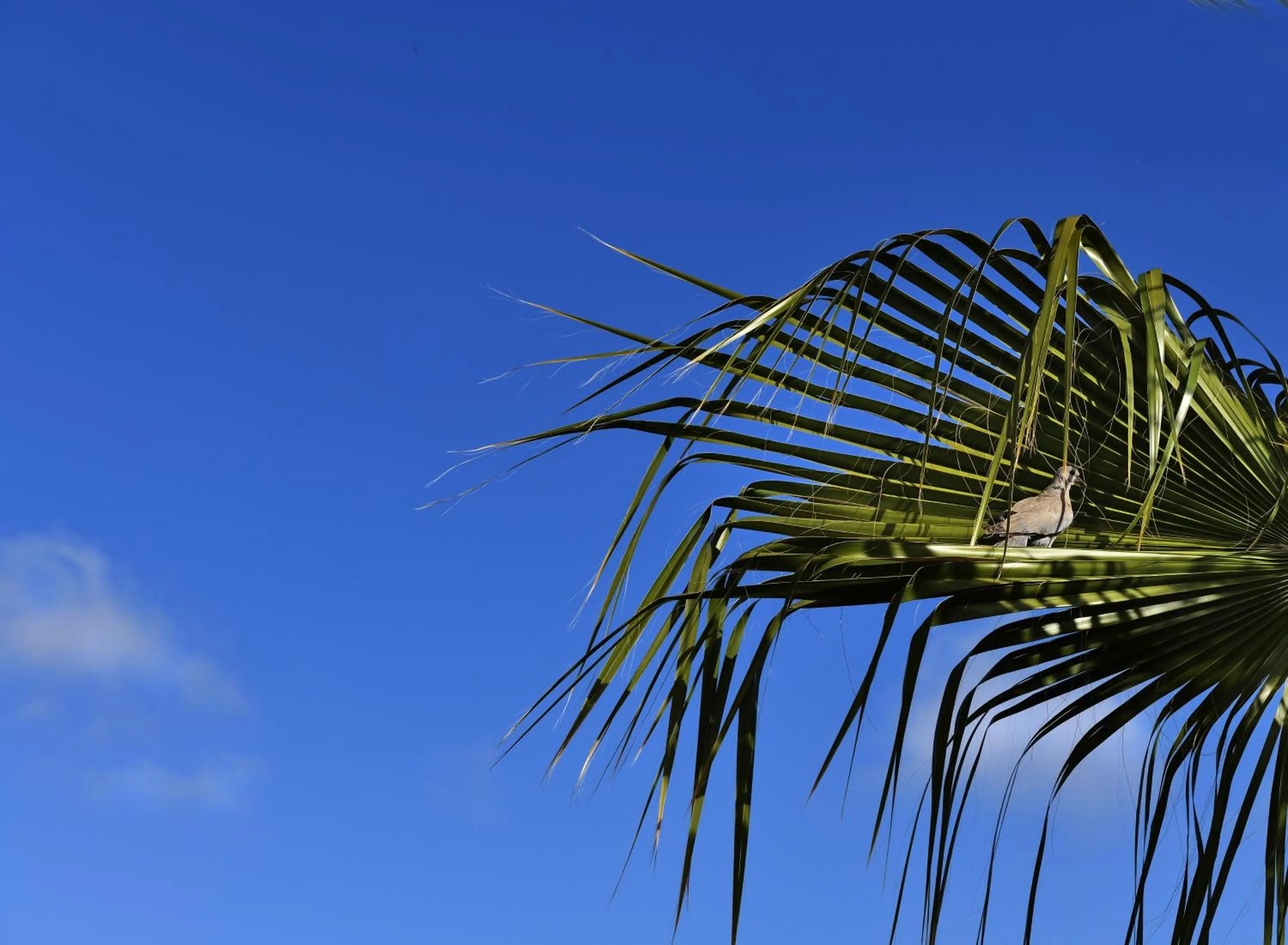 Property building in Riad L'Aziza