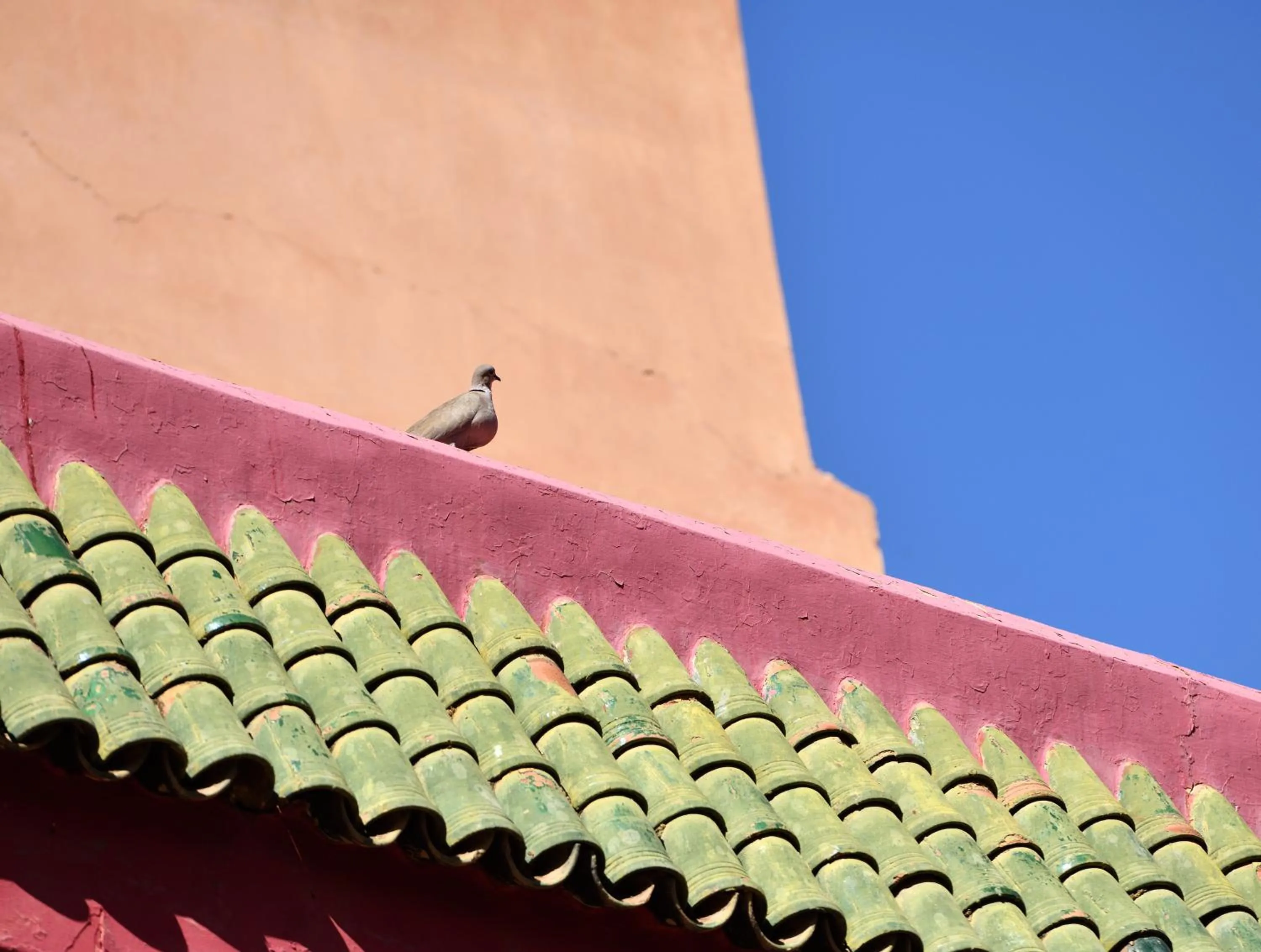 Balcony/Terrace in Riad L'Aziza