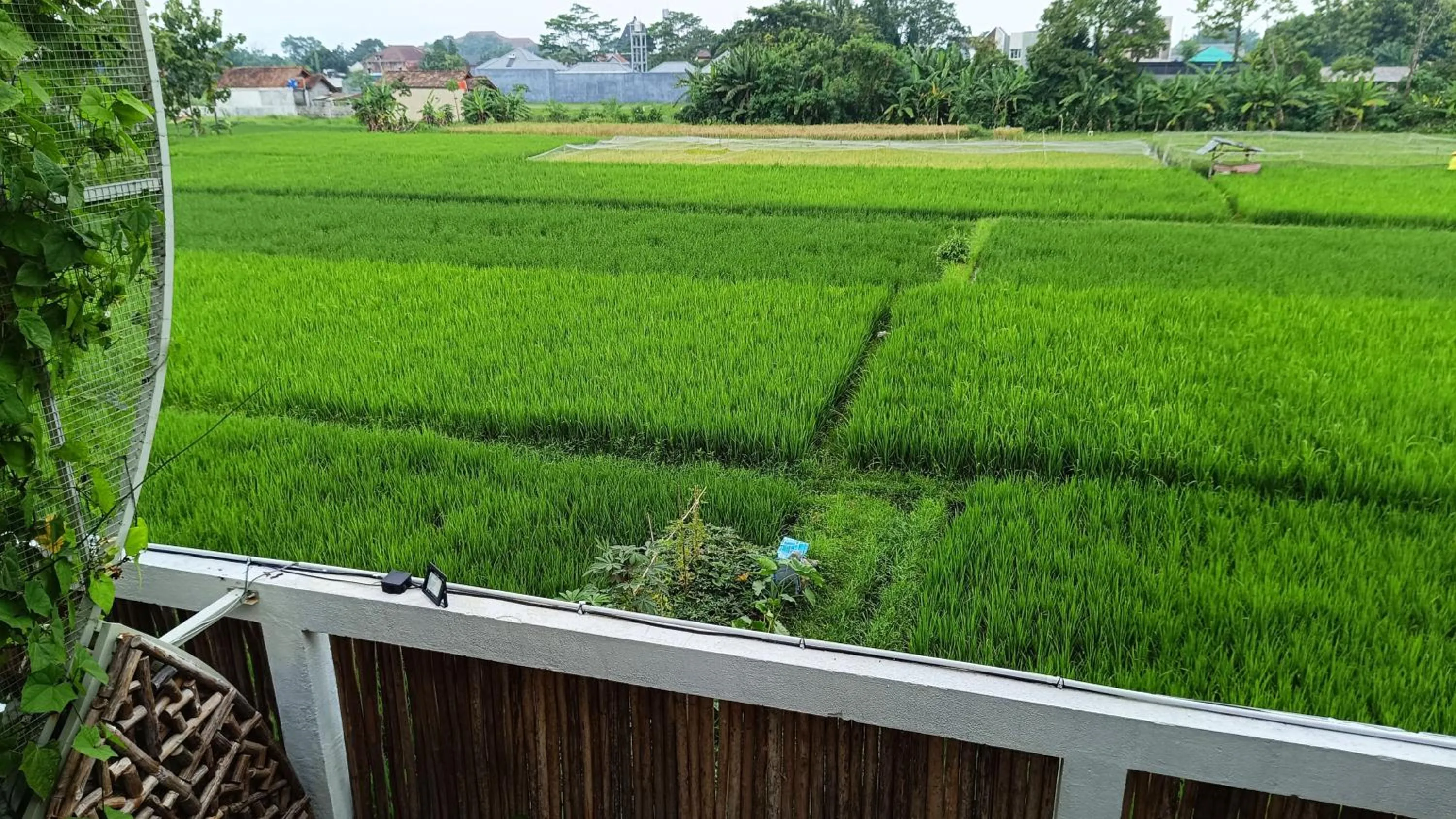 Natural landscape in Sangkar Cottage & Eatery