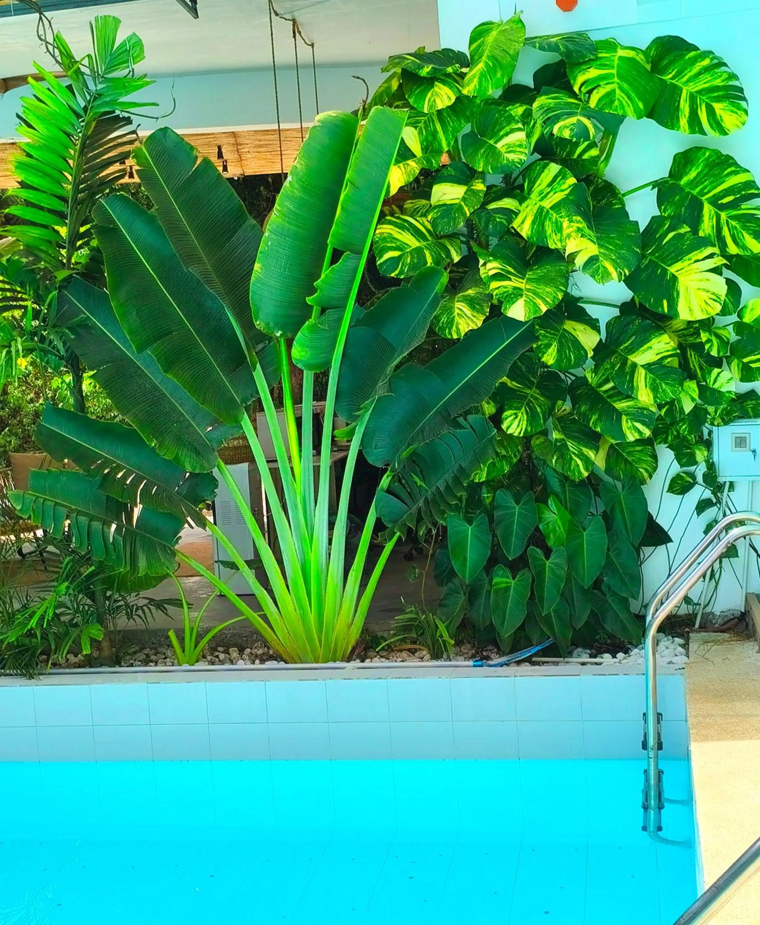 Swimming pool in Diving Addiction Resort