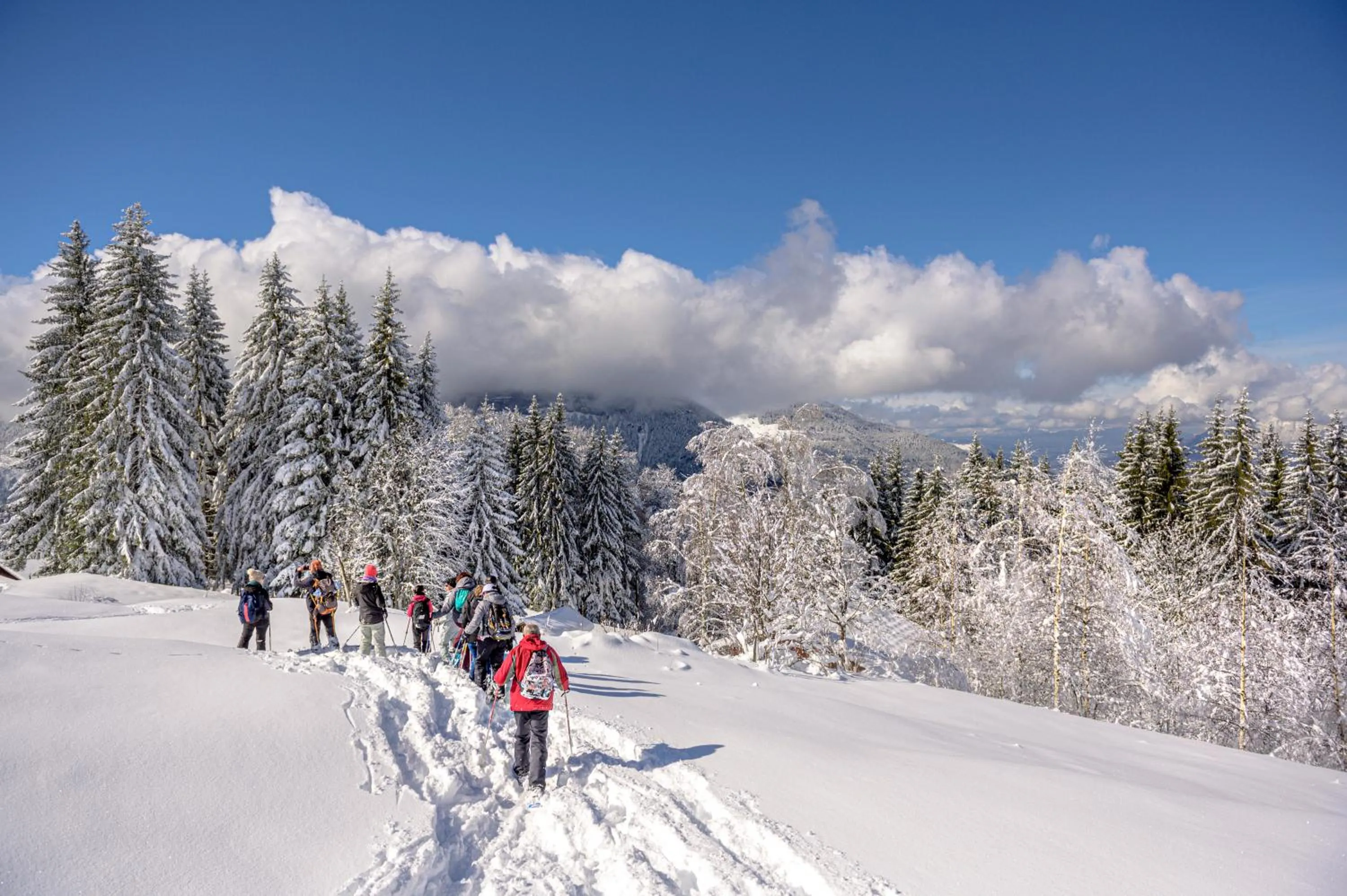 Day in Village Club Les Tavaillons