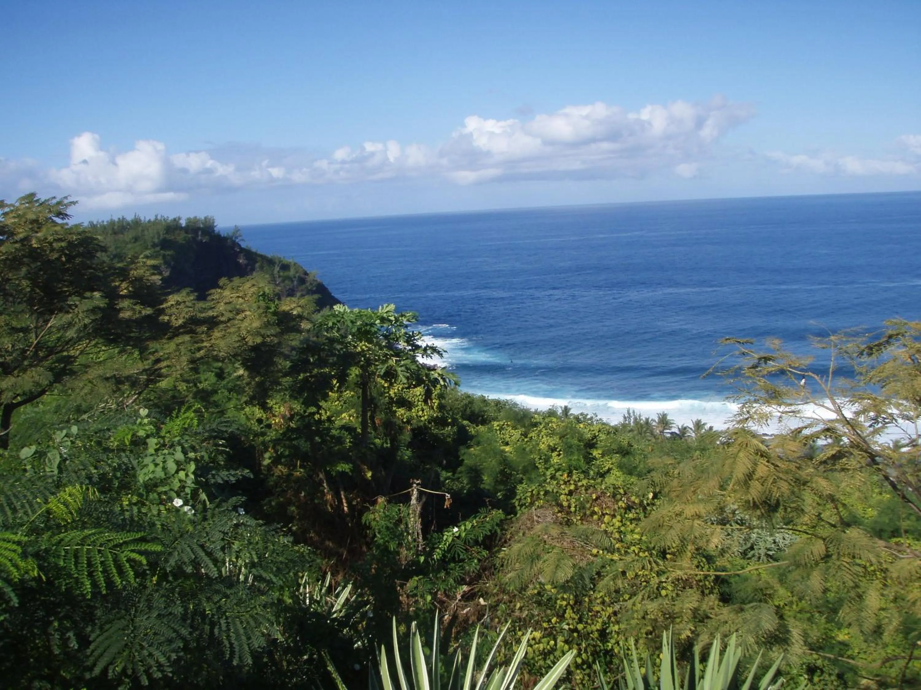 Natural landscape in Hotel Cap Sud