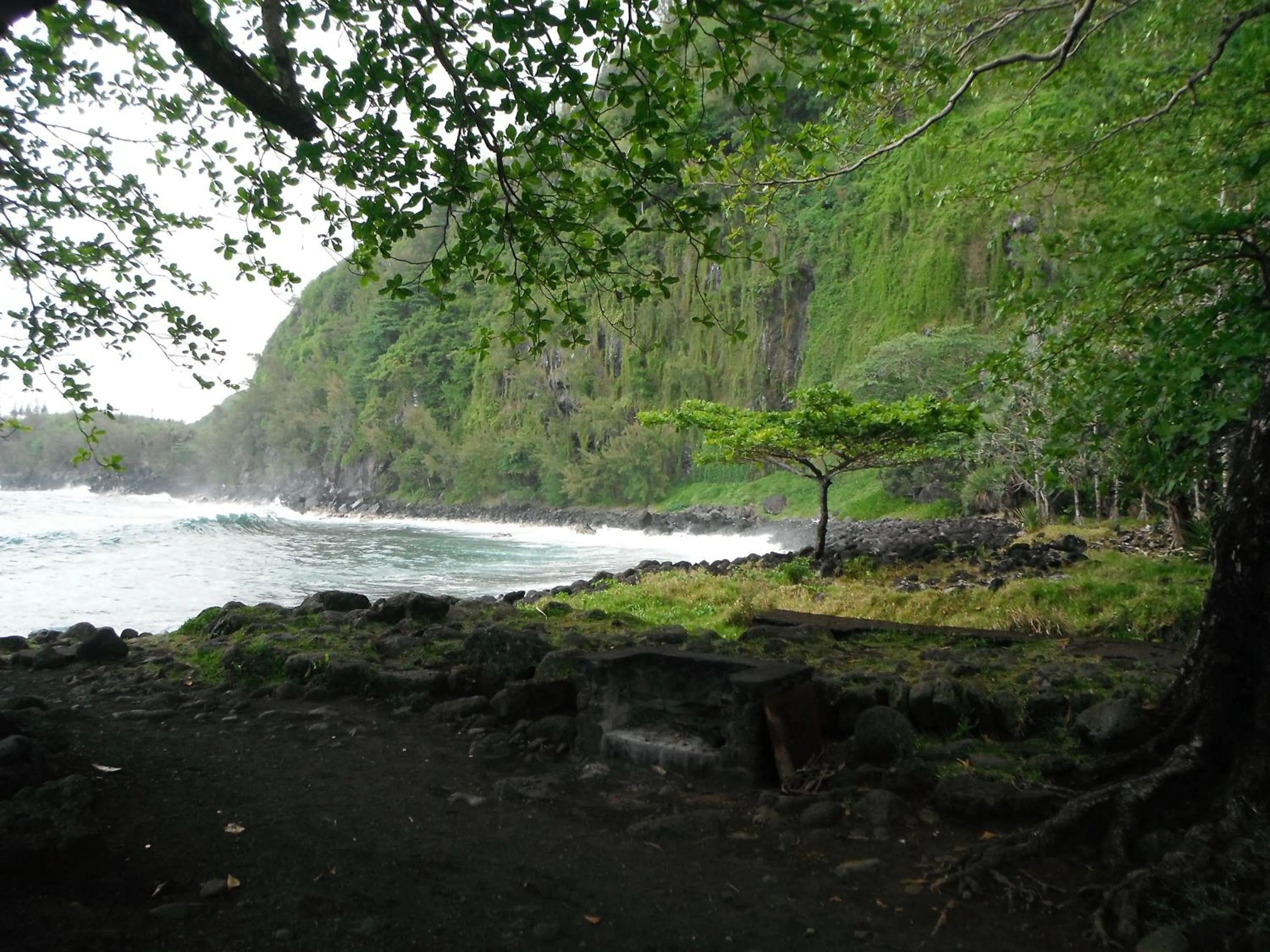 Natural landscape in Hotel Cap Sud
