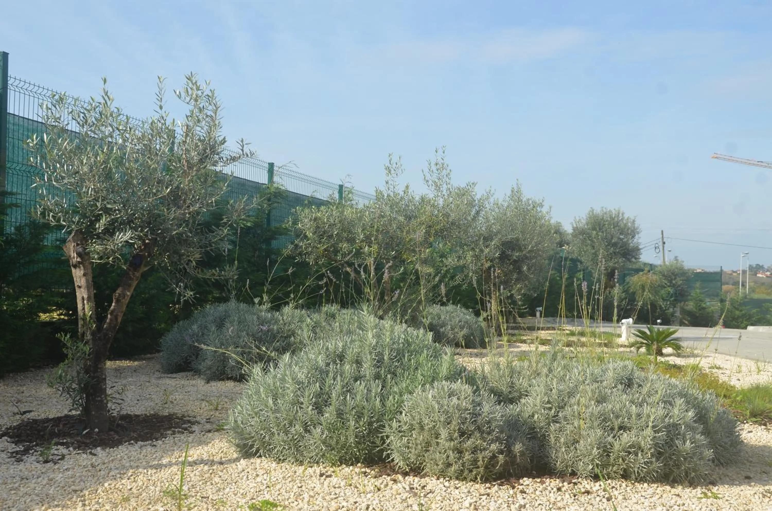 Garden in Vinyl M Hotel - Adults Only