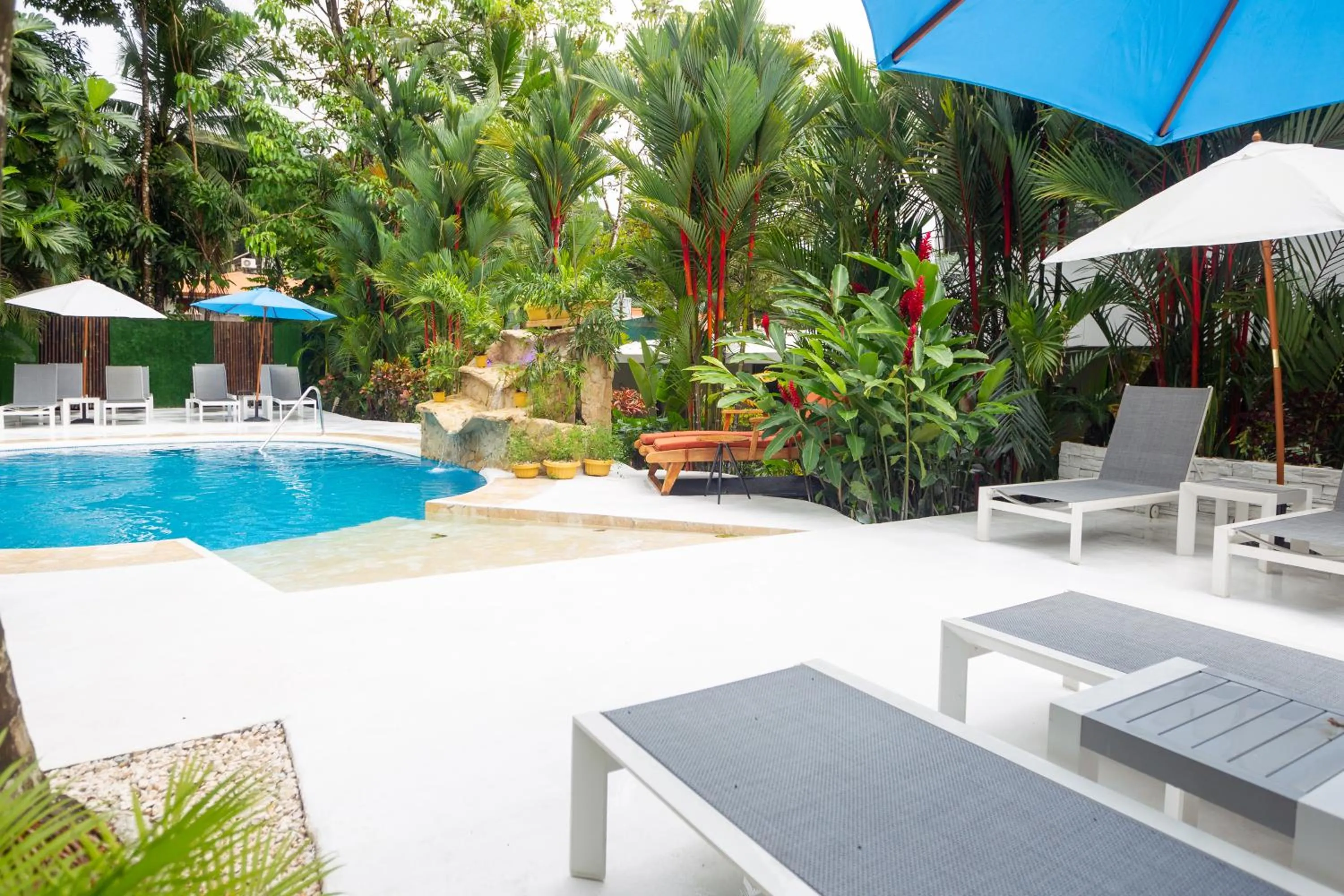 Garden in La Vela Boutique Hotel