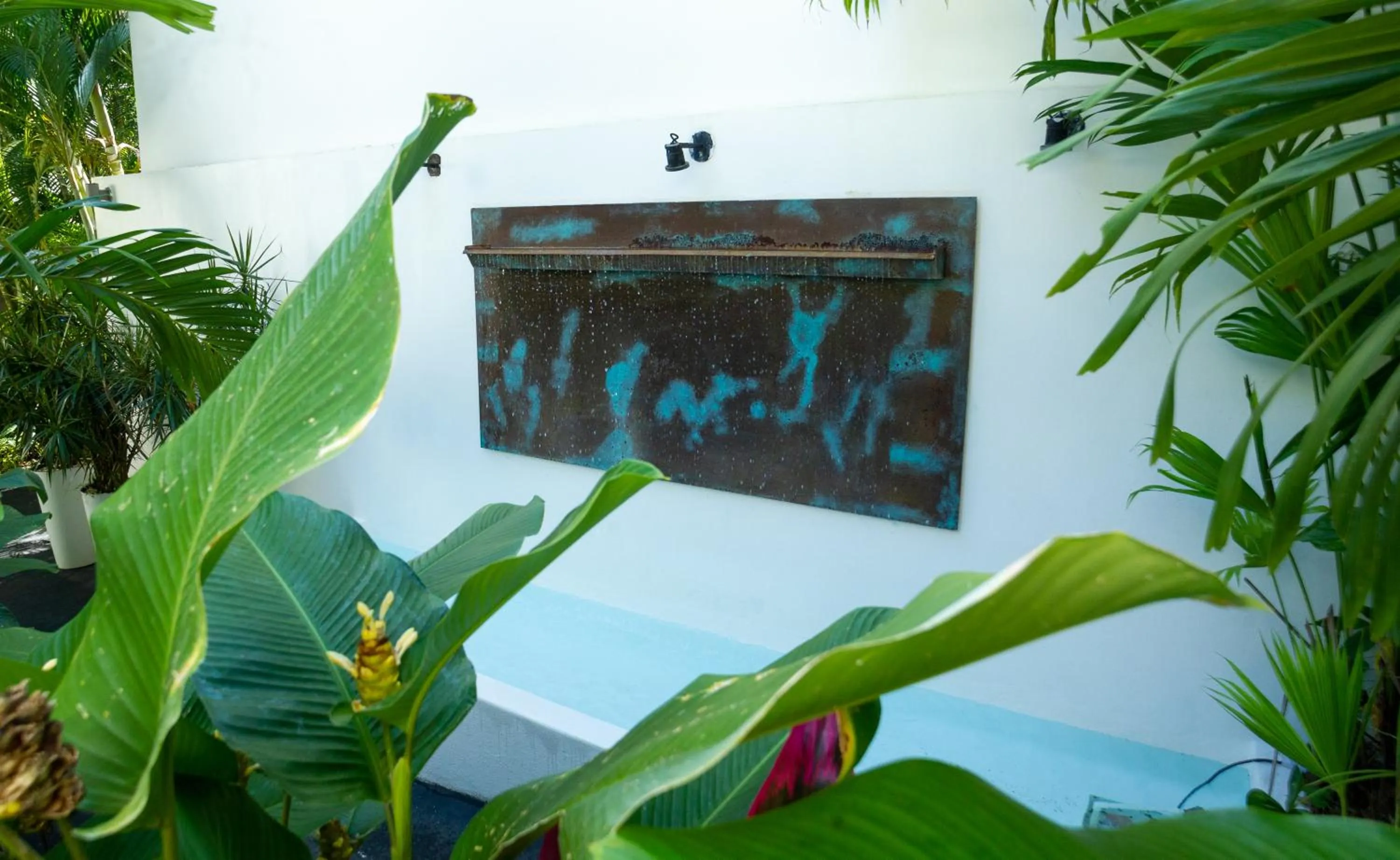 Garden in La Vela Boutique Hotel