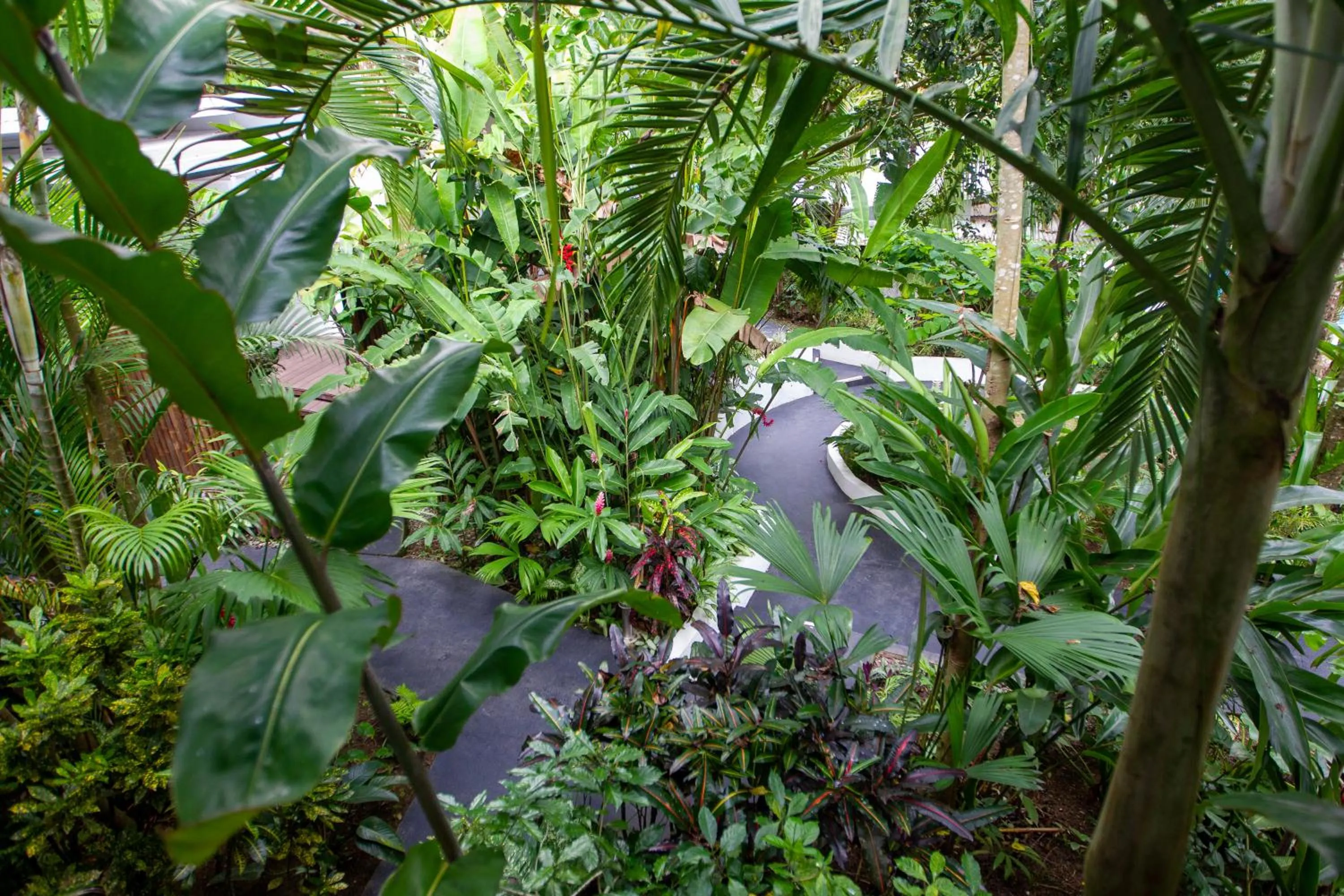 Garden in La Vela Boutique Hotel