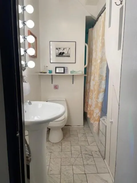 Bathroom in Ray's Bucktown Bed and Breakfast