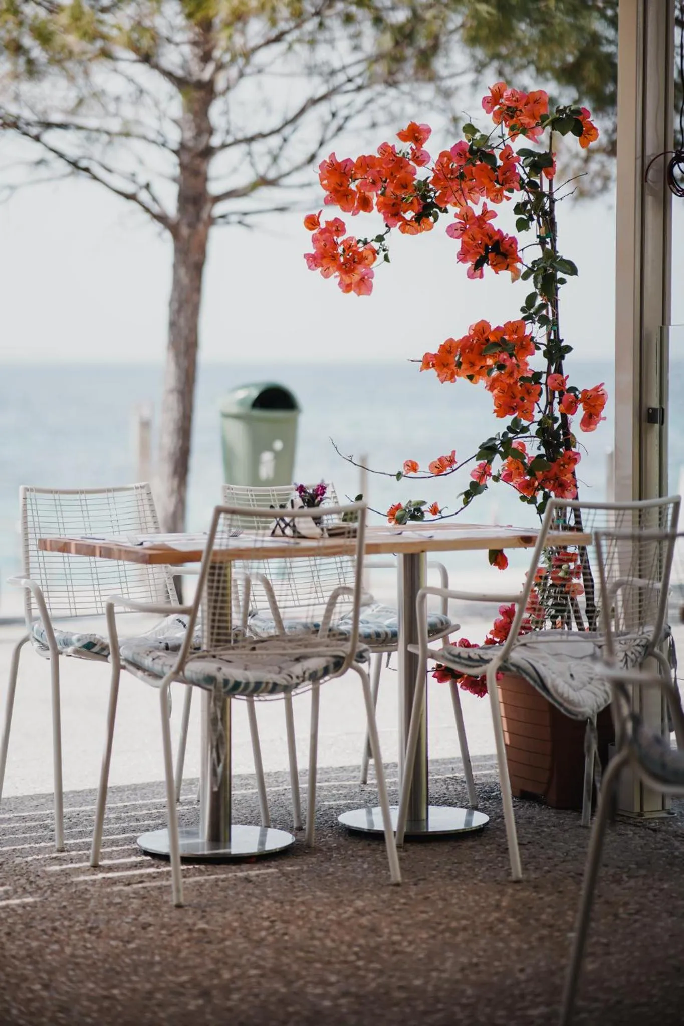 Natural landscape in Noemie Hotel