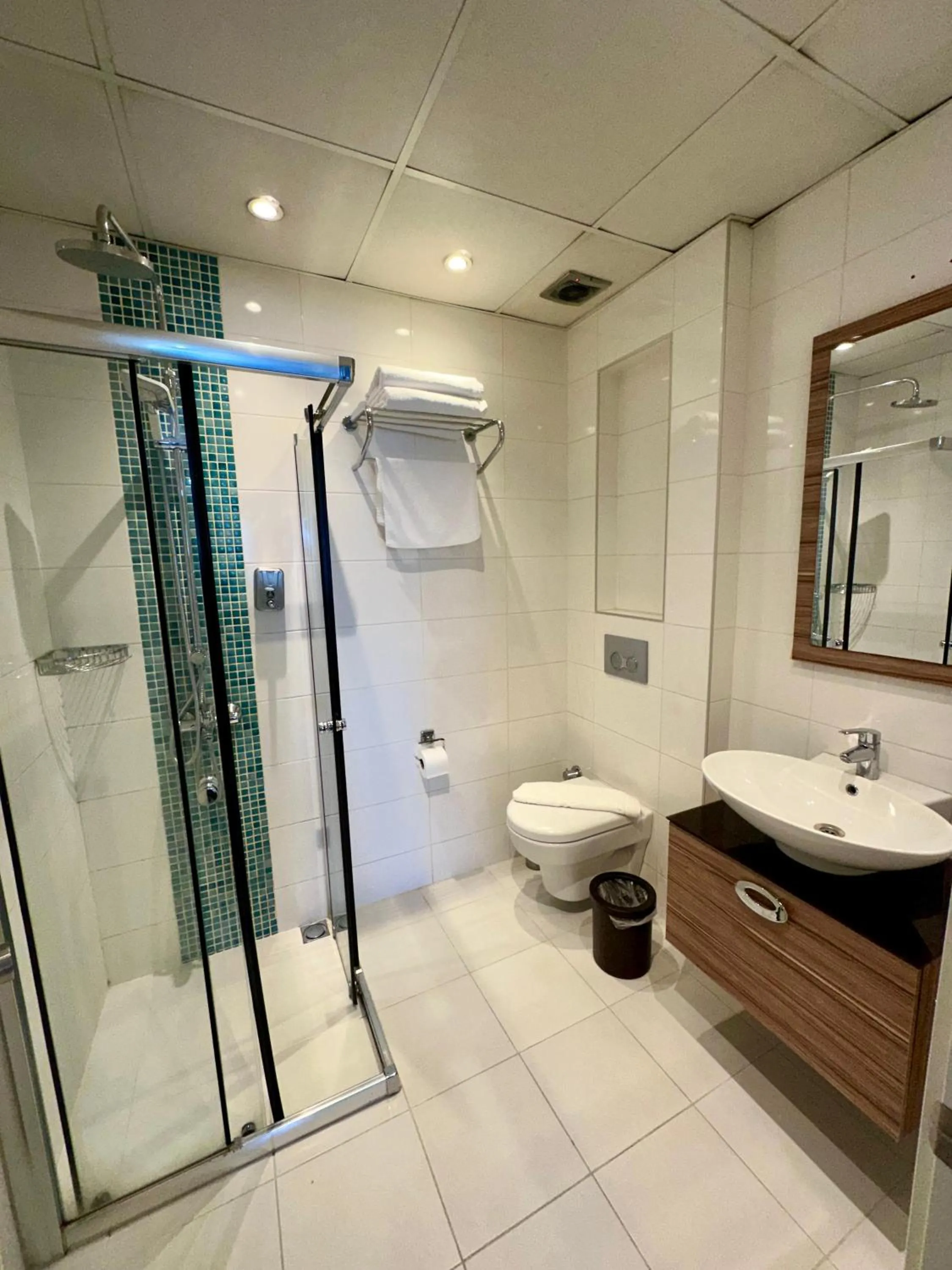 Shower in Elite Marmara Express Otel