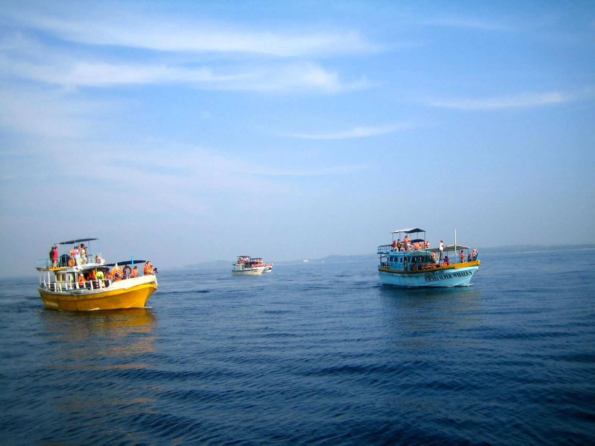 Area and facilities in Highland Villa