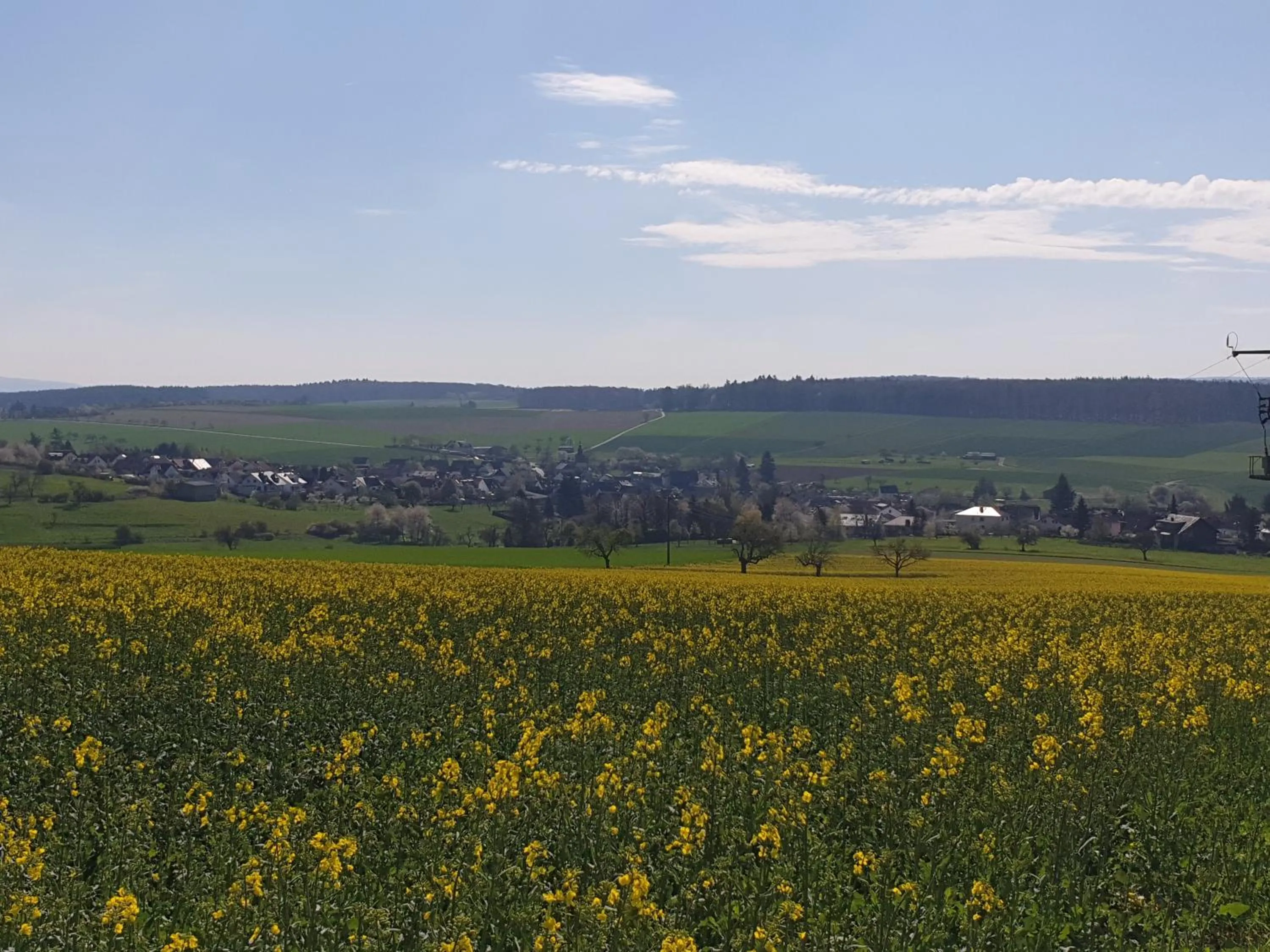 Neighbourhood in Pension Zum Adler