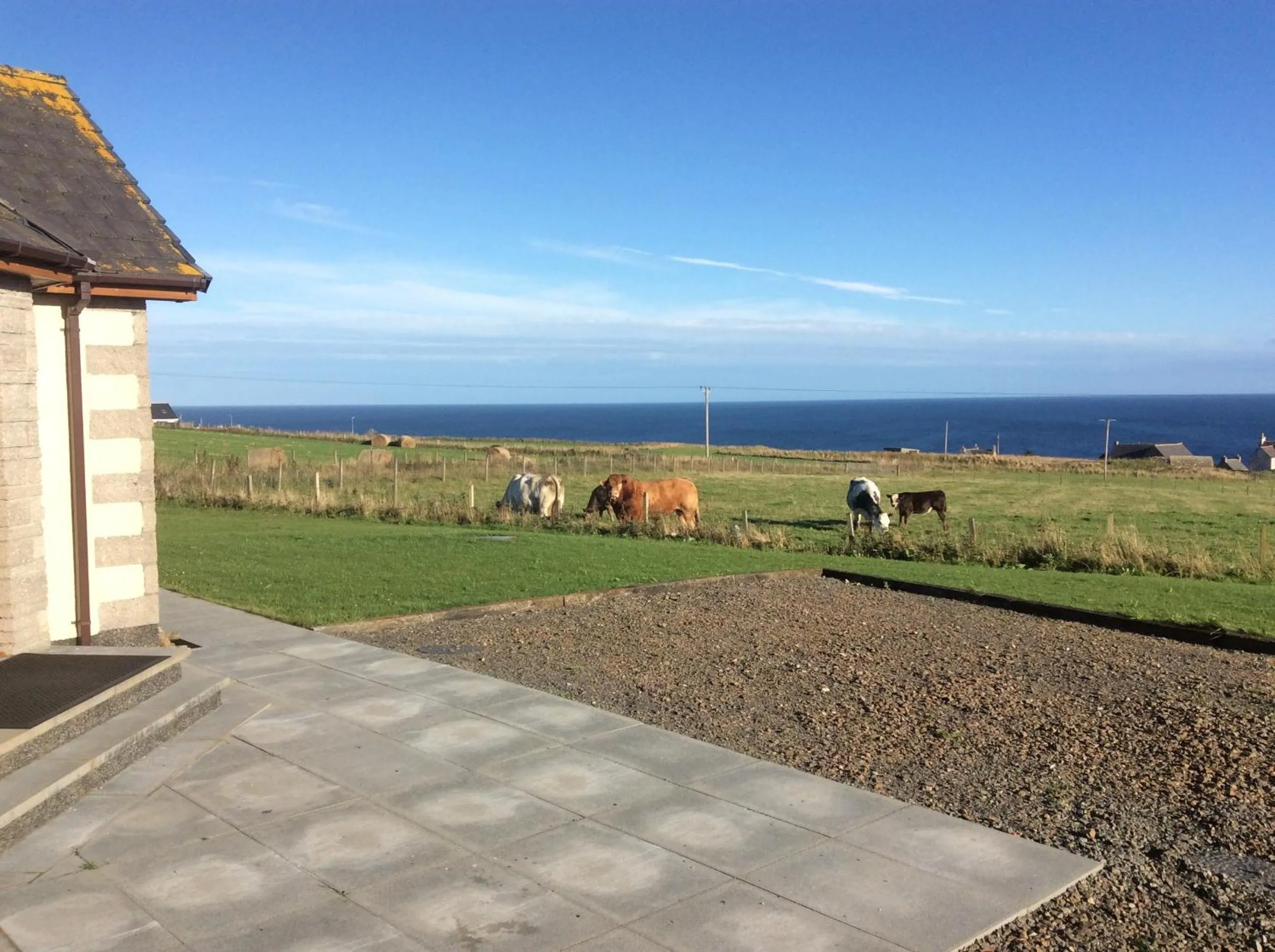 View (from property/room) in A Castle View