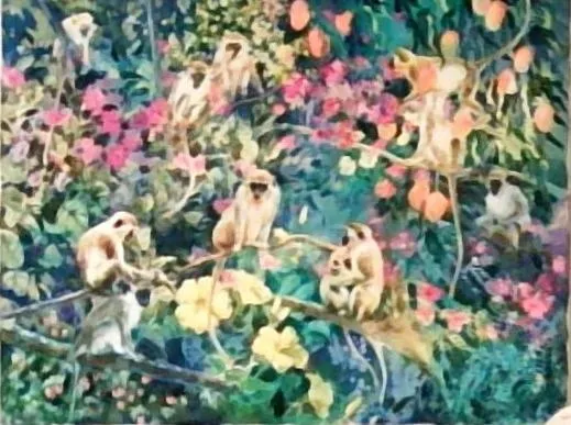 Bayview Bed and Breakfast