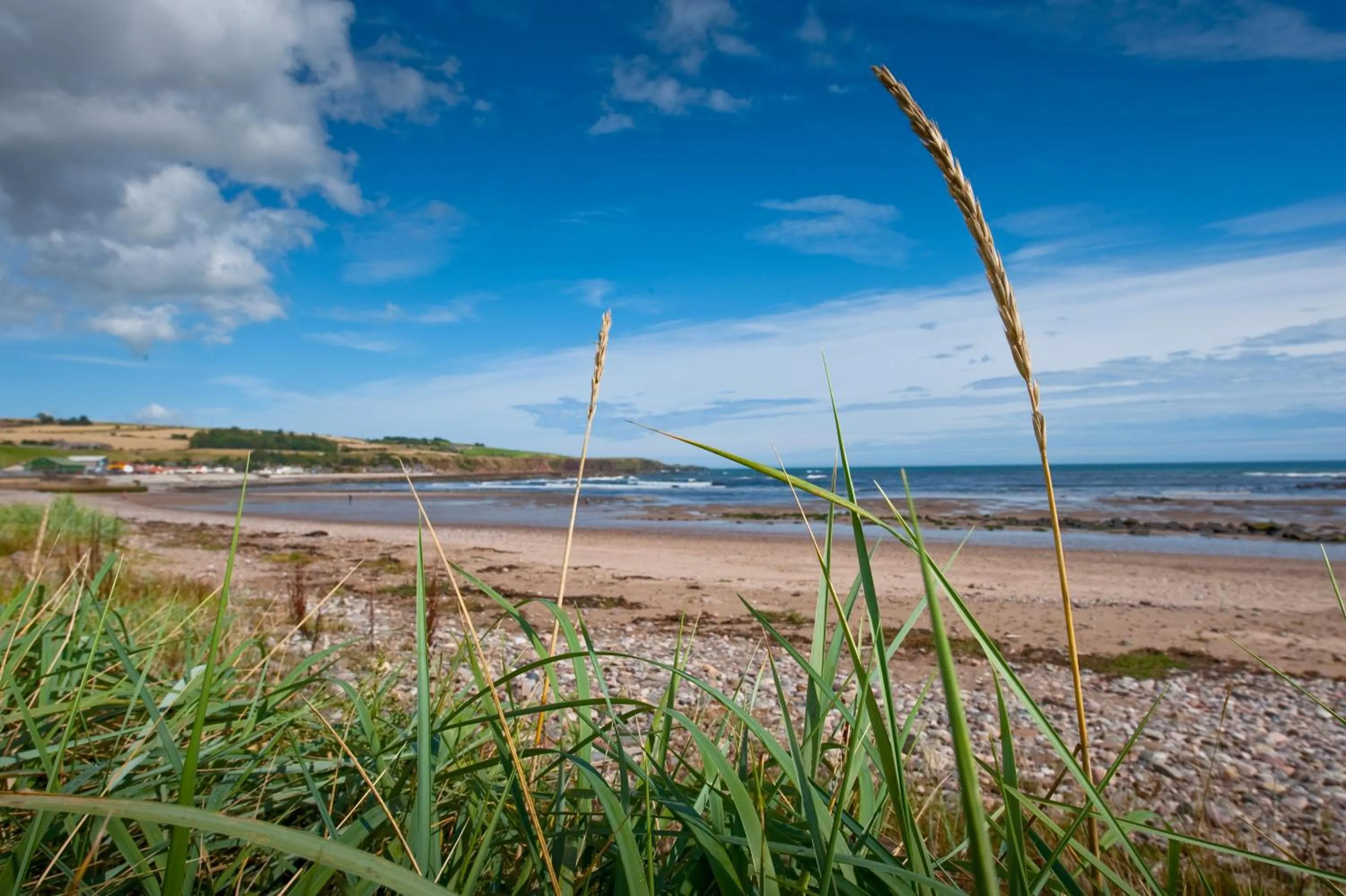 Day in Bayview Bed and Breakfast