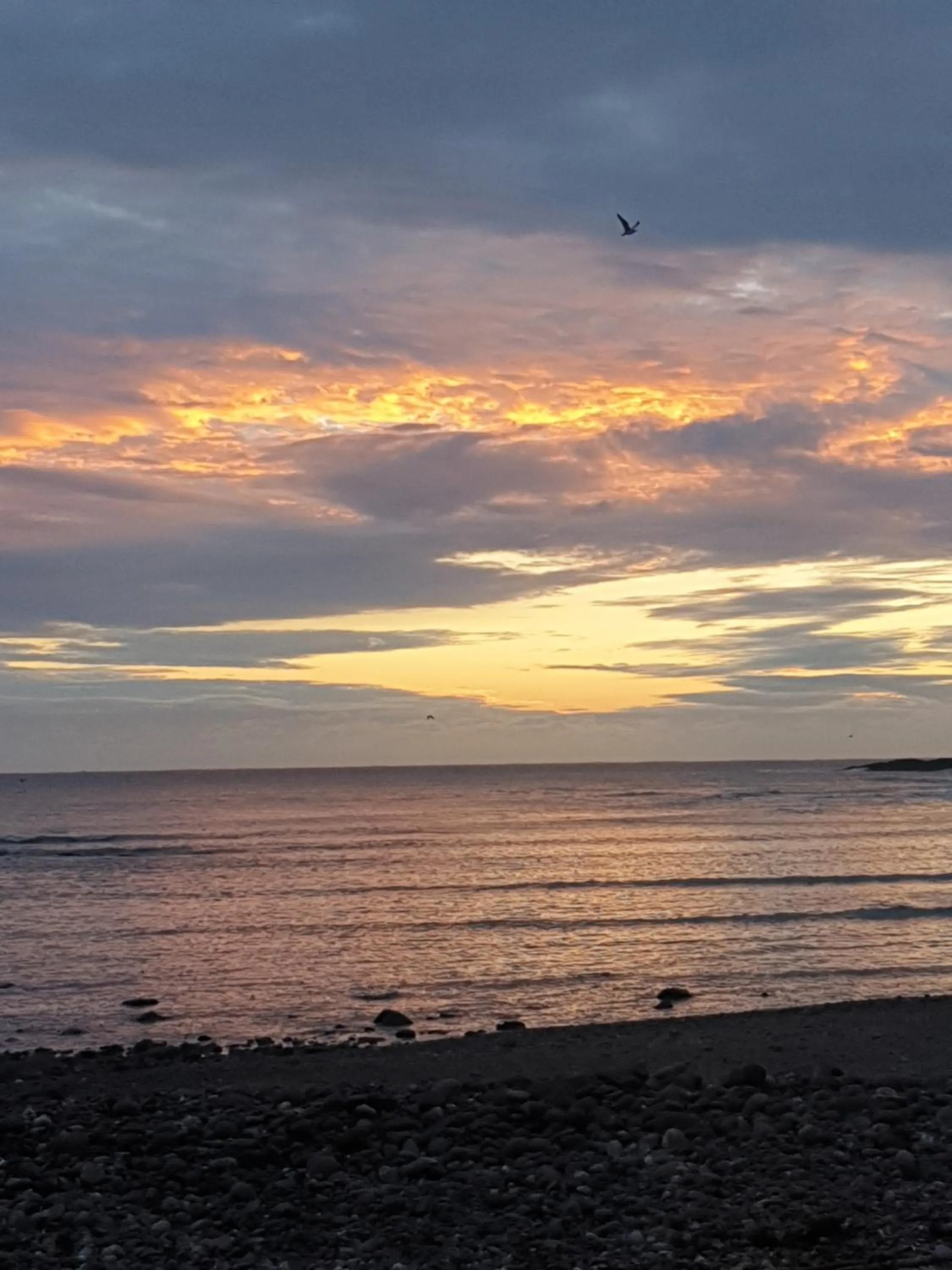 Bayview Bed and Breakfast