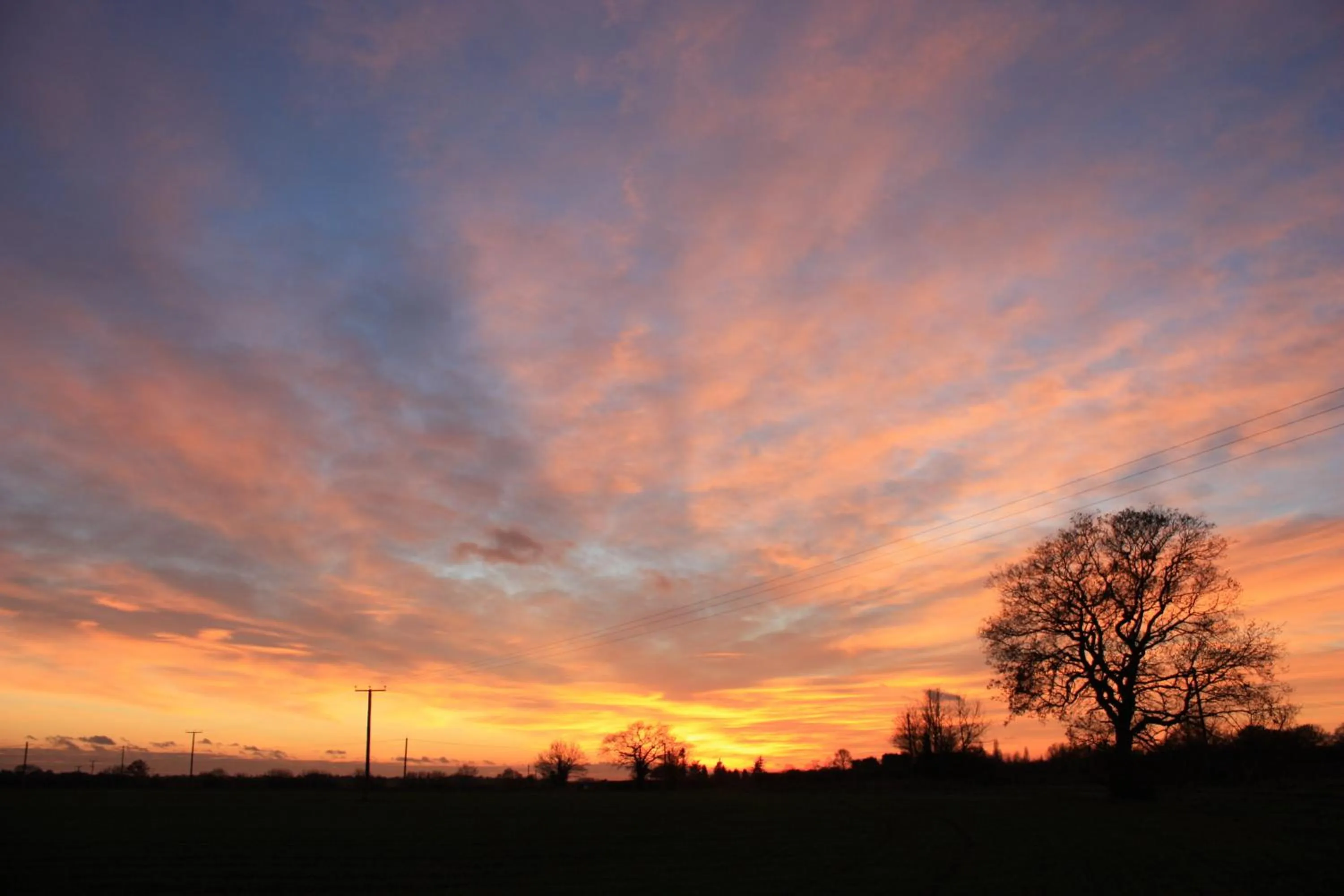 Area and facilities in Puttocks Farm