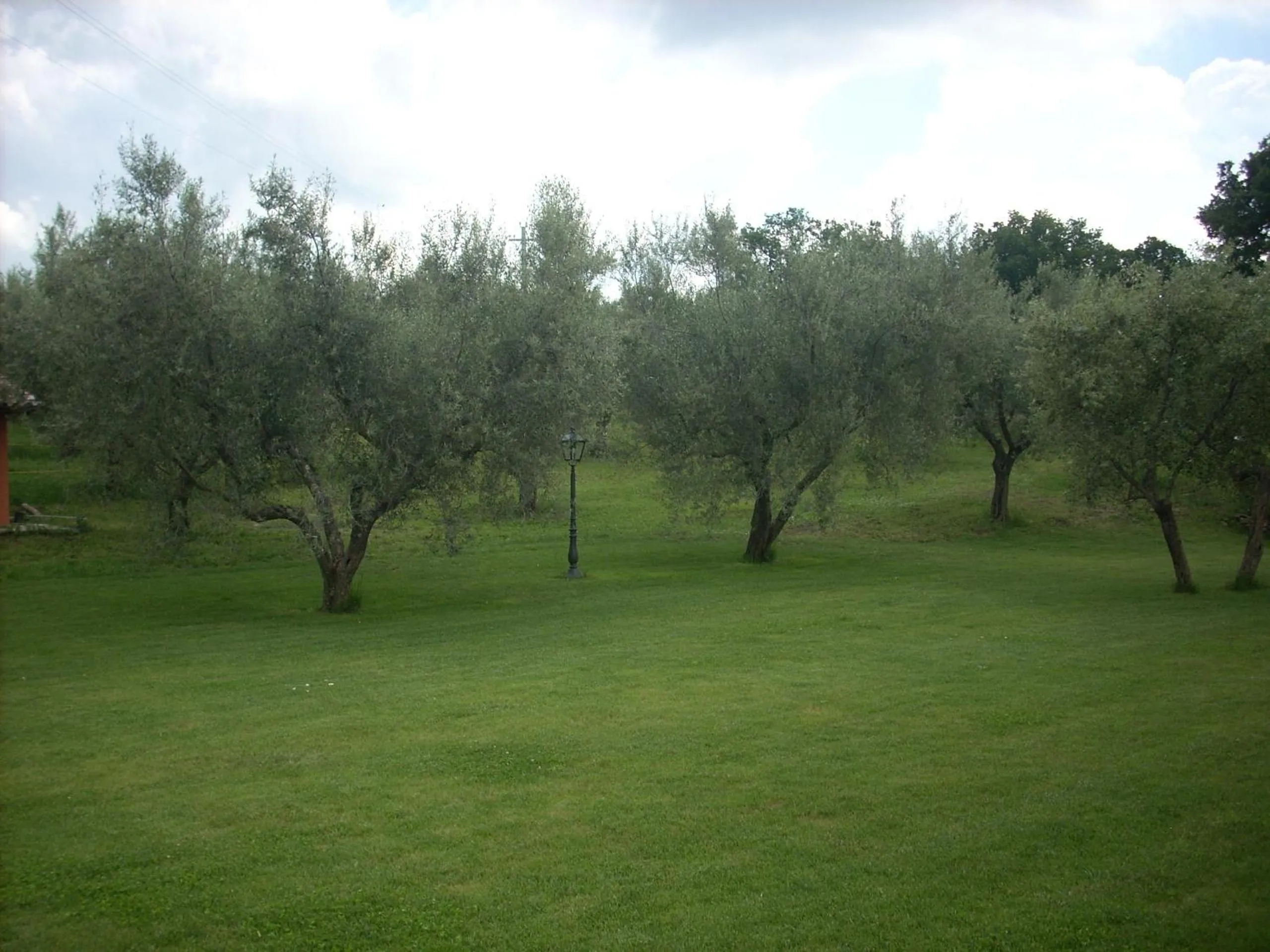 Garden in Forum Cassii
