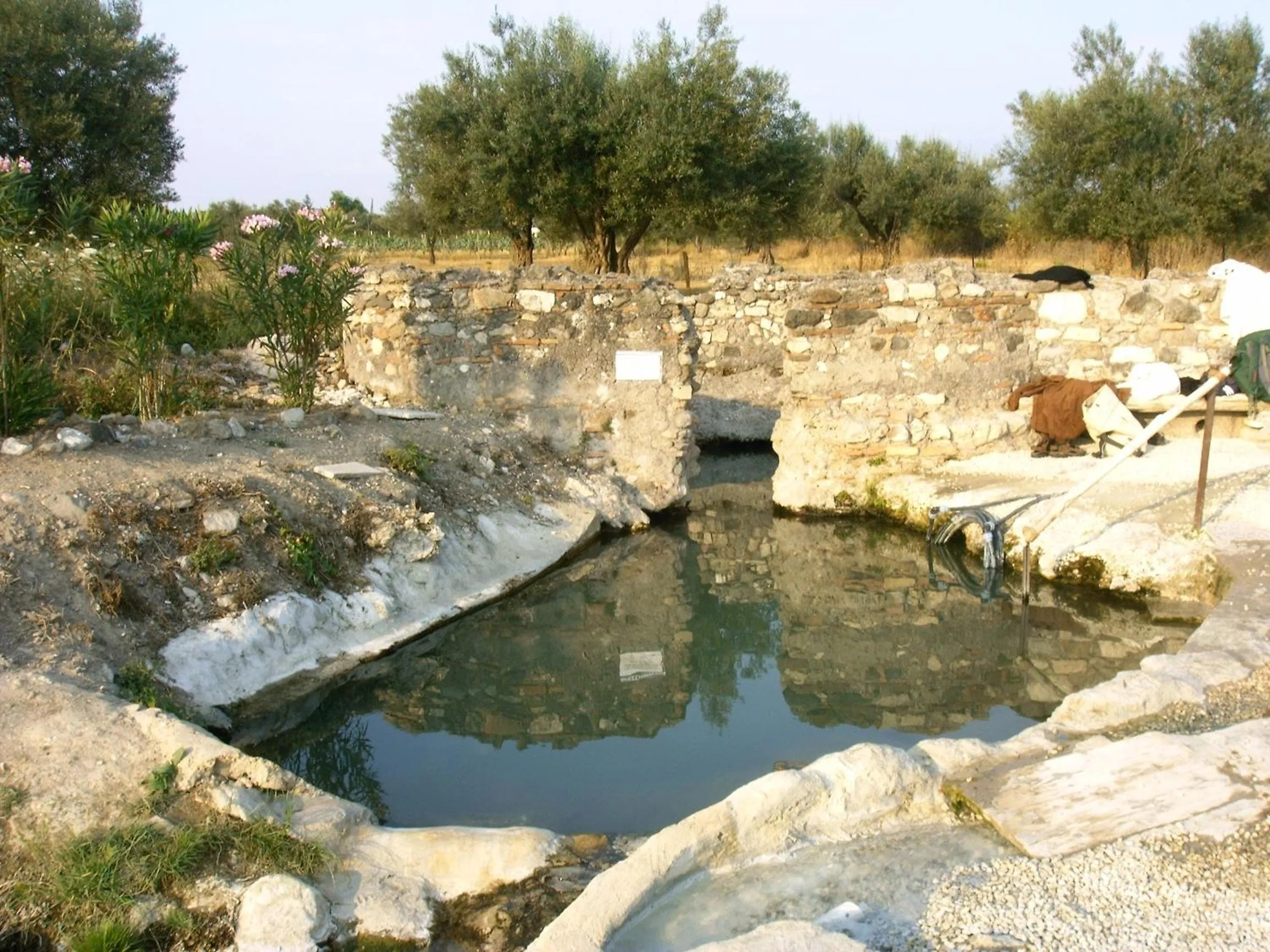 Bird's eye view in Forum Cassii