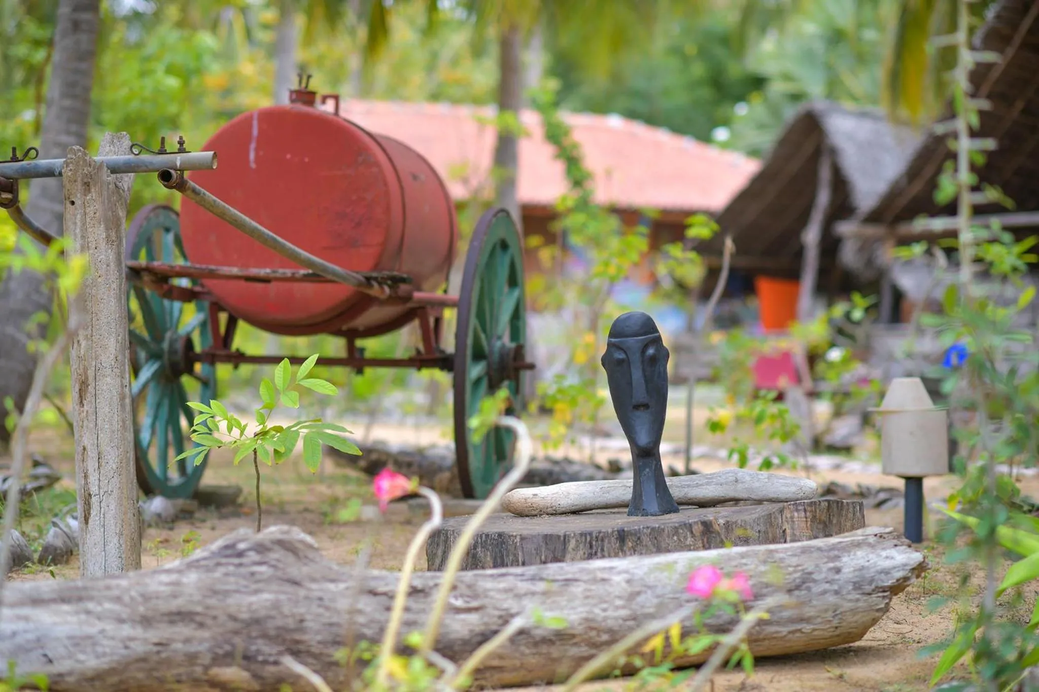 Garden in Kitesurfing Lanka