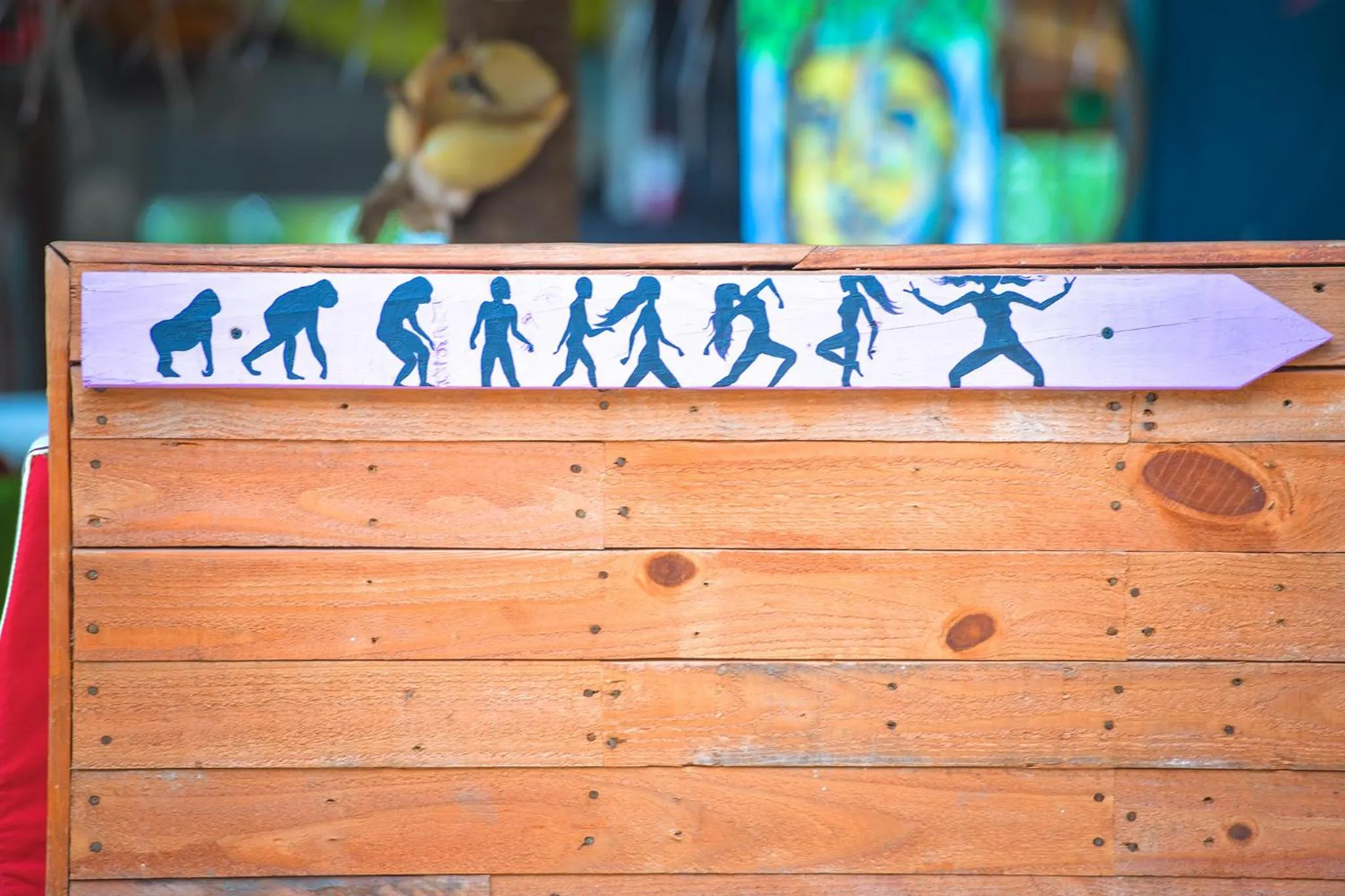 Swimming pool in Kitesurfing Lanka