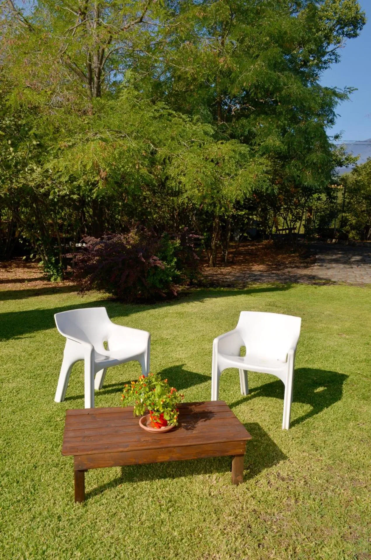 Natural landscape in L'Infinito Agriturismo - Rooms & Breakfast