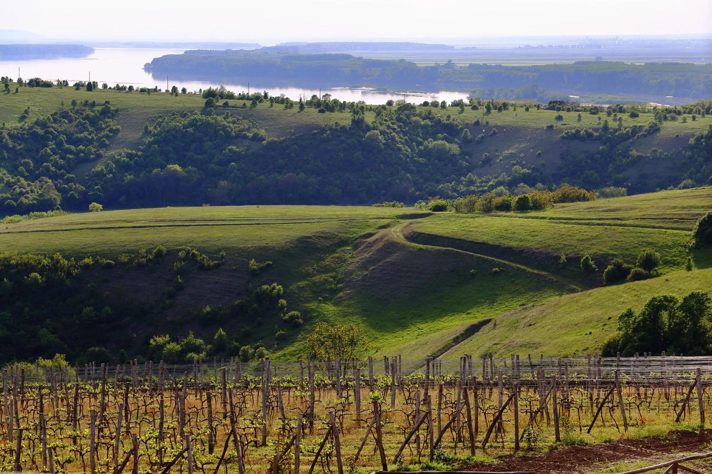 Natural landscape in Seven Generations Winery Hotel