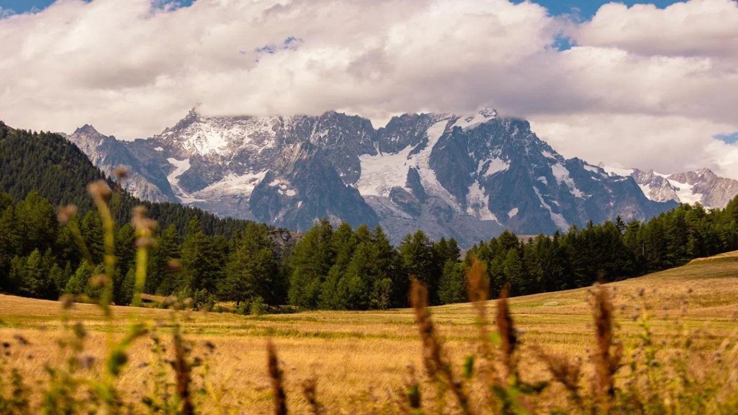 Mountain view in Montana Lodge & Spa, by R Collection Hotels