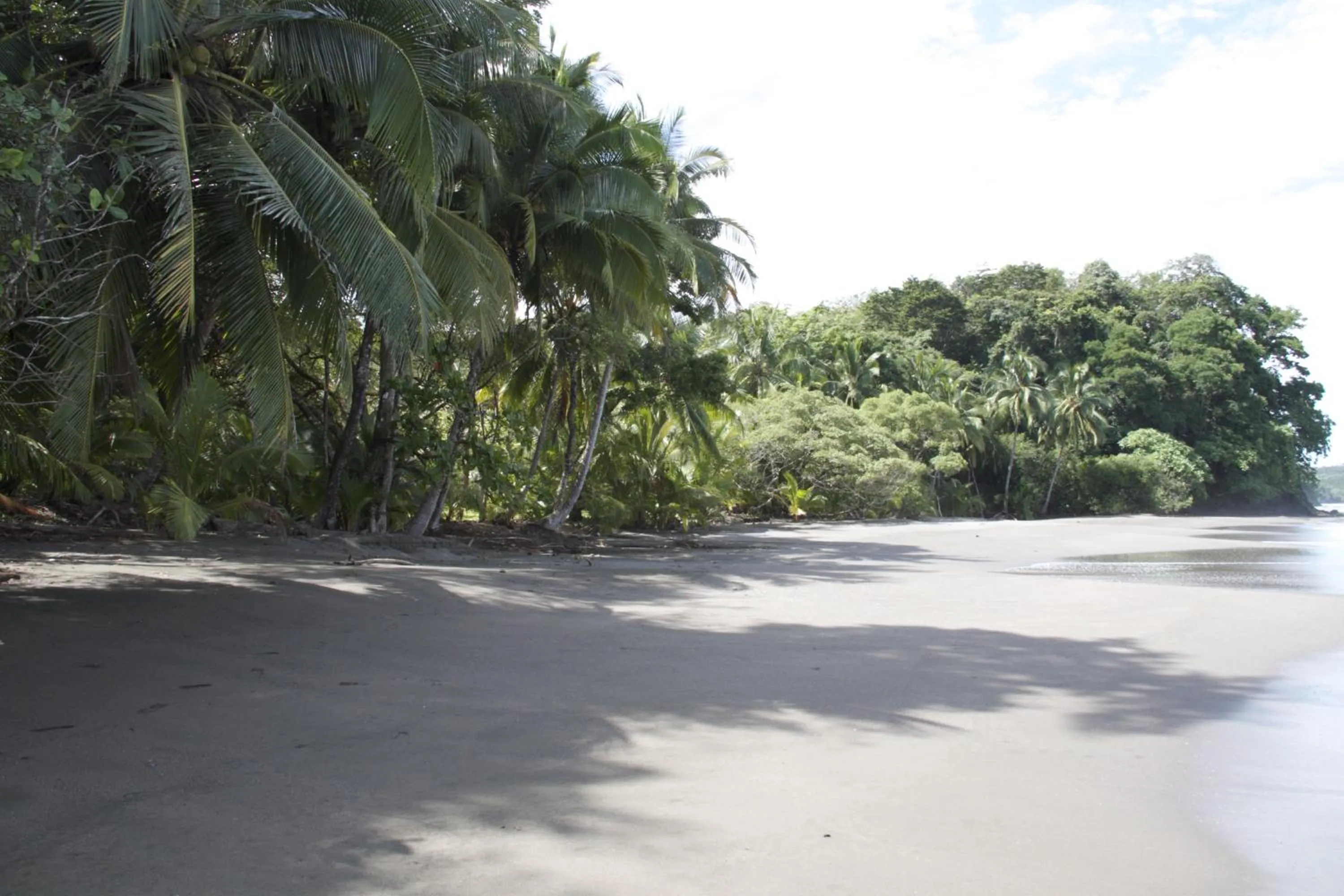 Beach in Camino del Sol