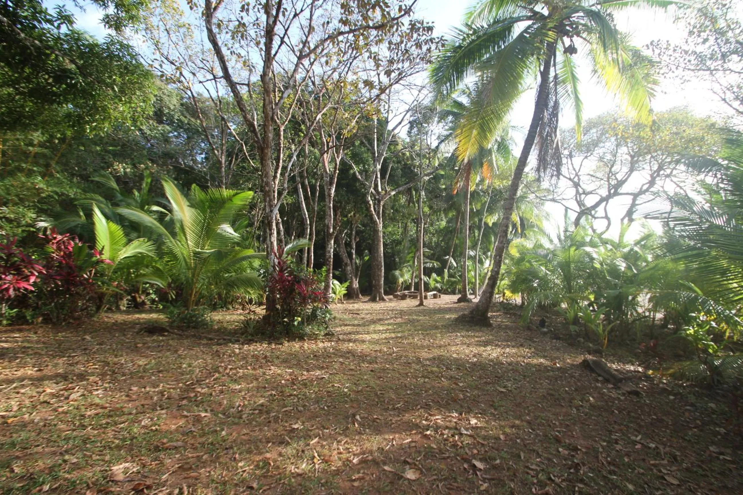Decorative detail in Camino del Sol