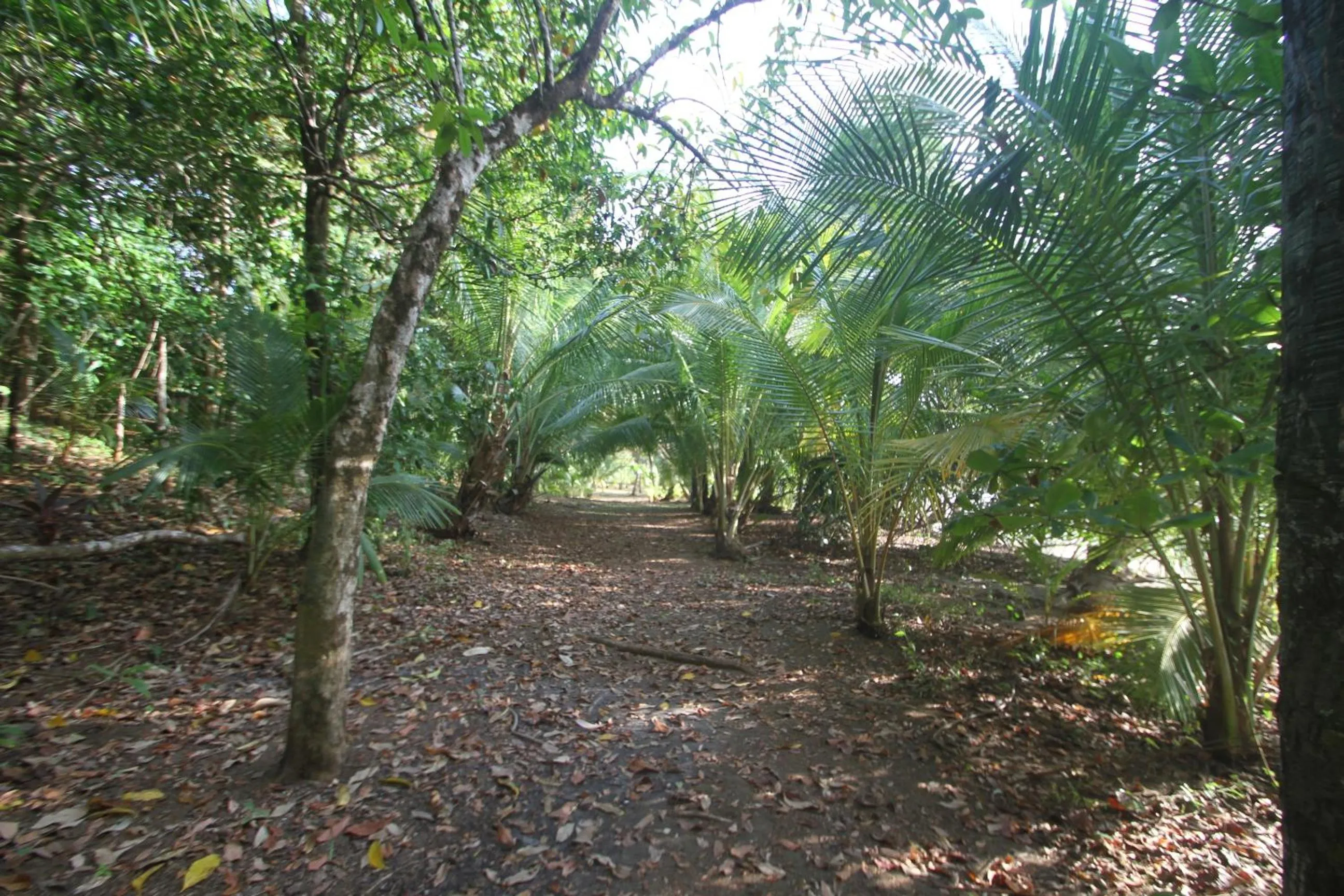 Facade/entrance in Camino del Sol