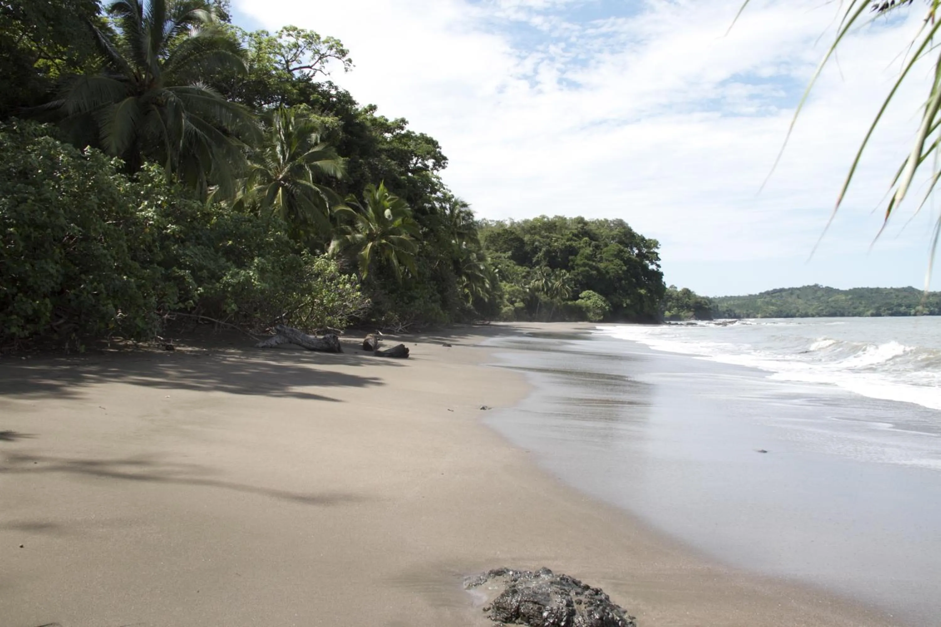 Decorative detail in Camino del Sol