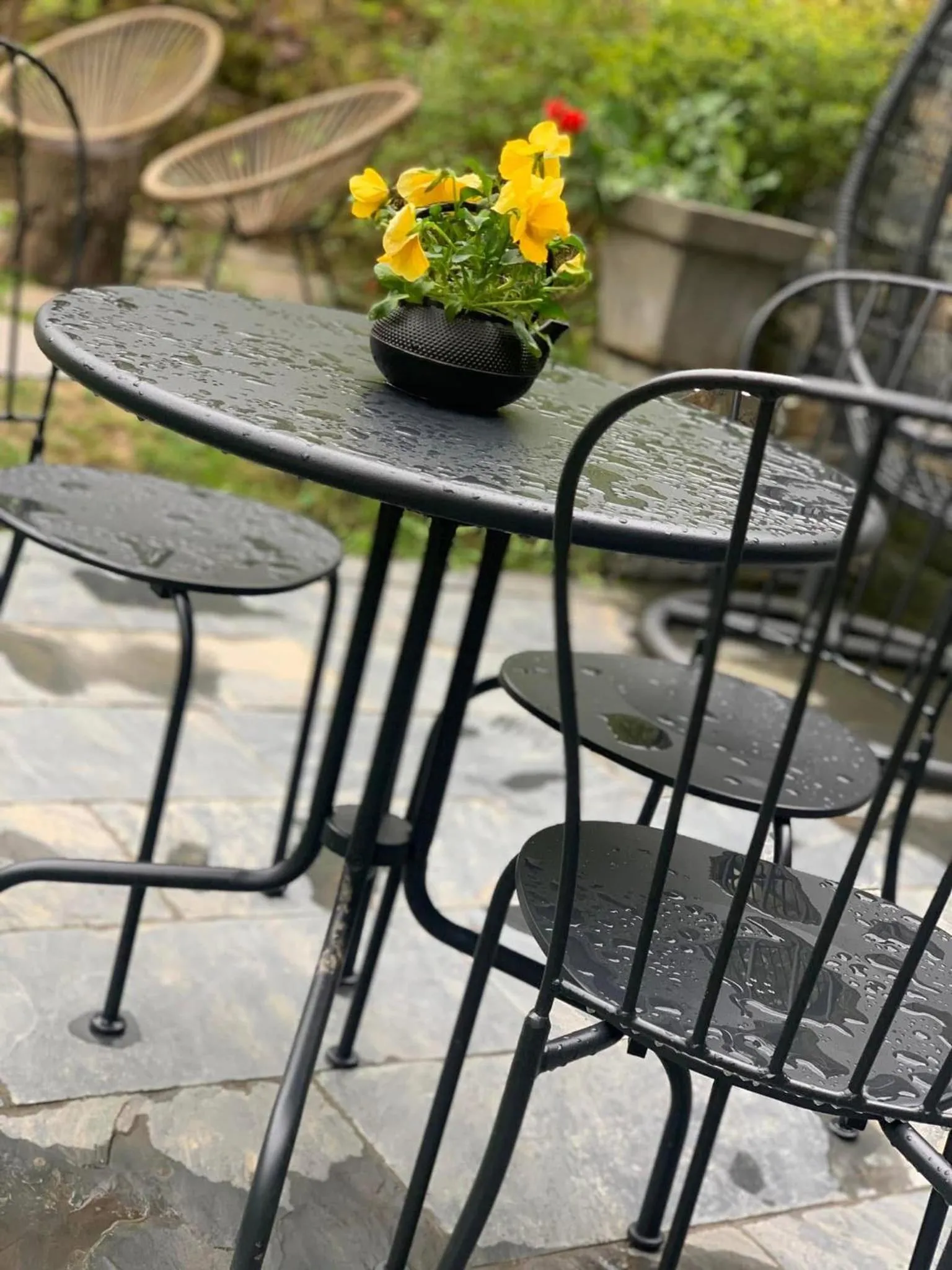 Property building in GreenHill Brasov