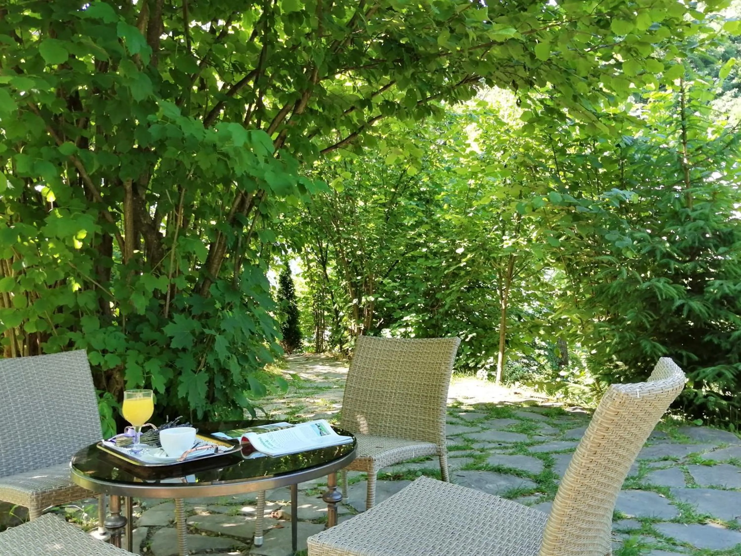 Garden in GreenHill Brasov