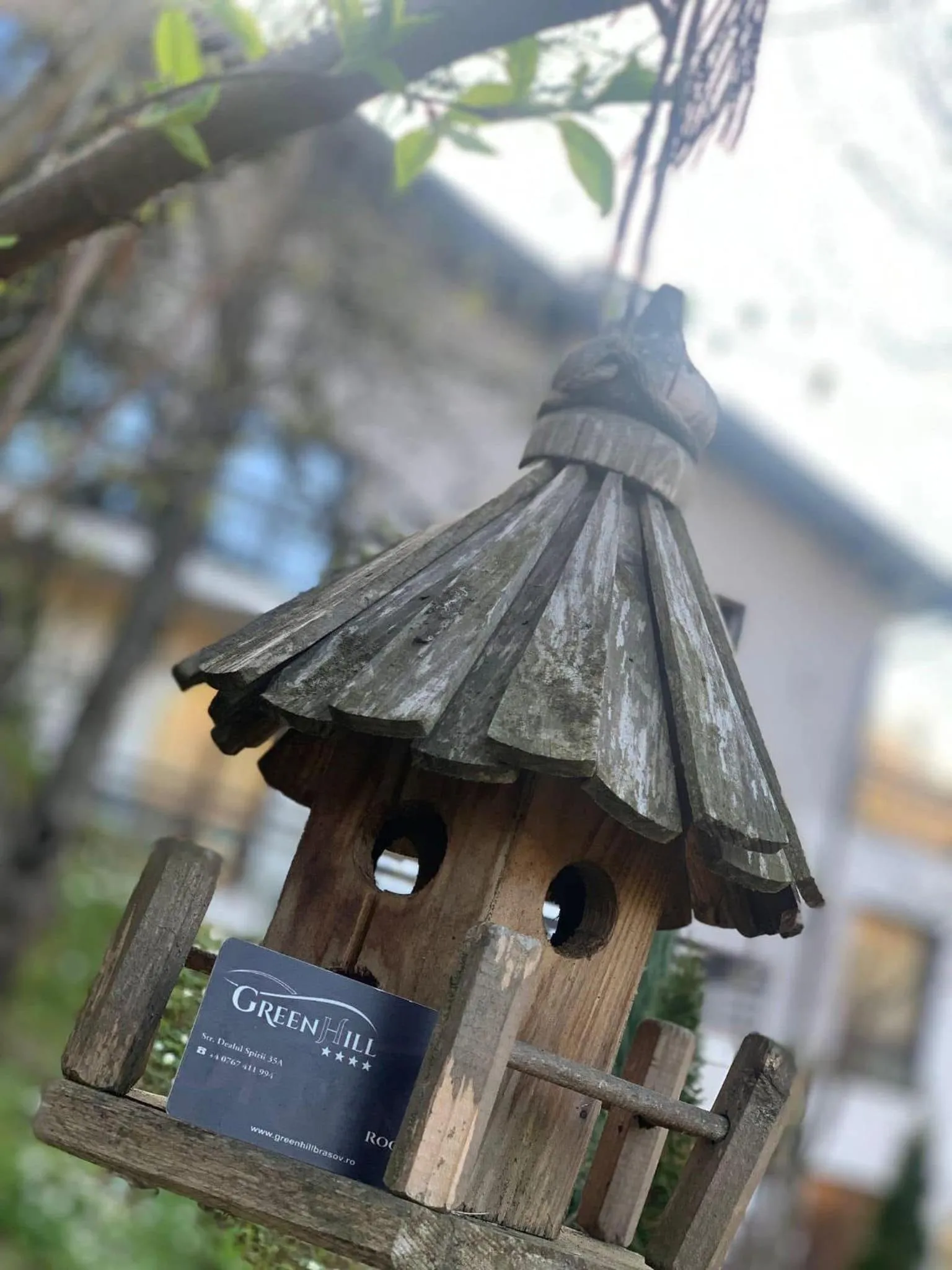 Property building in GreenHill Brasov