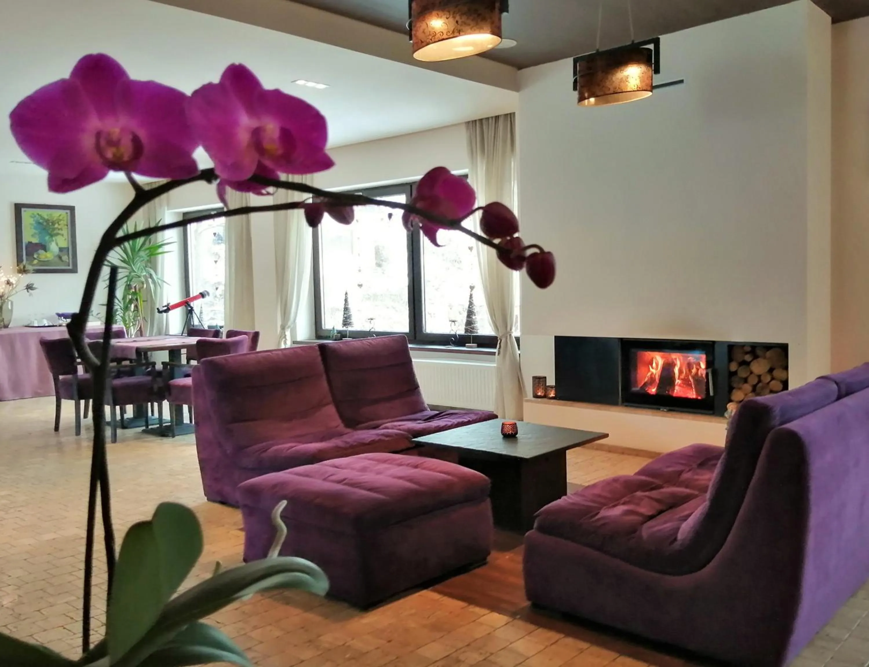 Communal lounge/ TV room in GreenHill Brasov